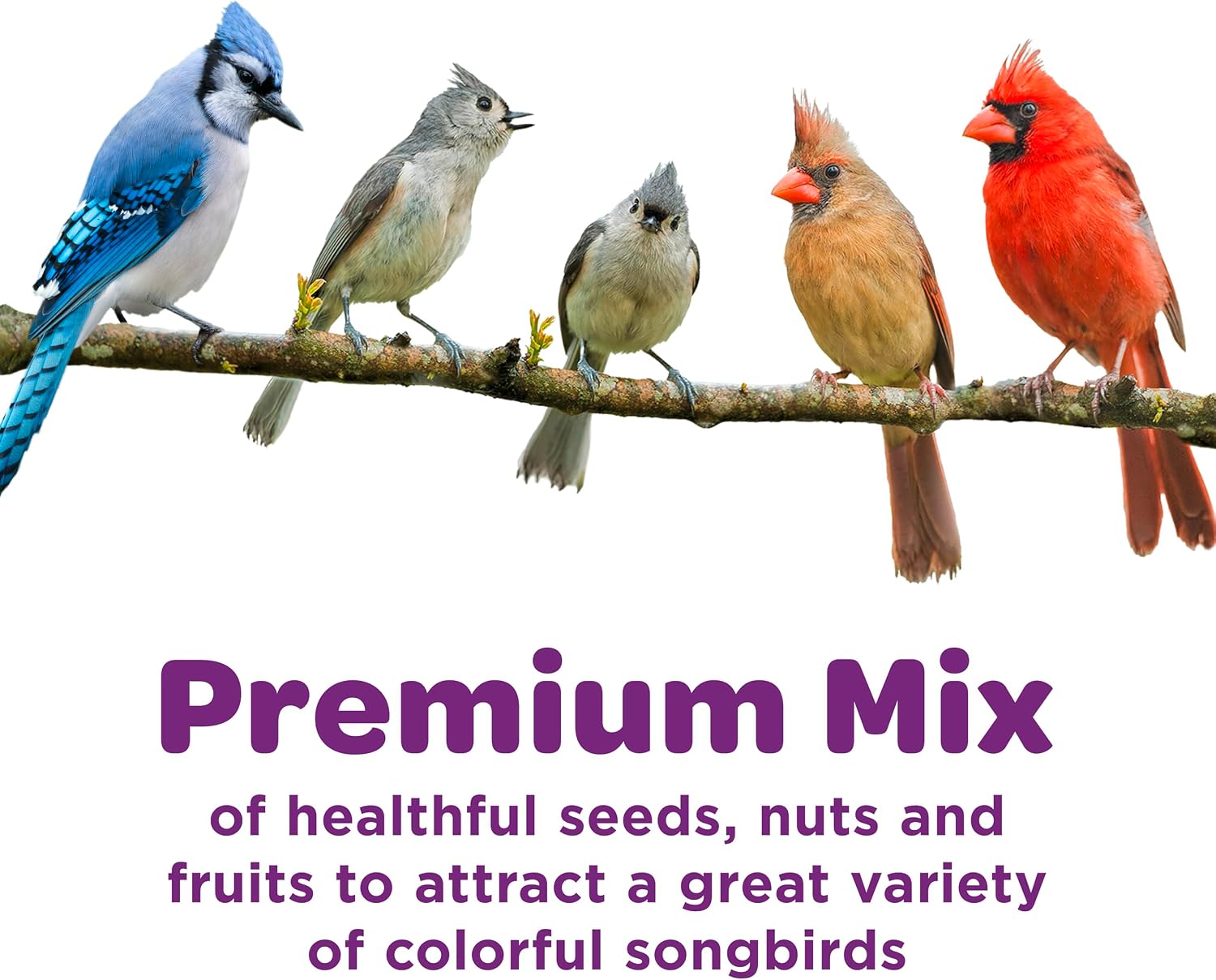 Kaytee Nut & Fruit Wild Bird Seed, 5 lb