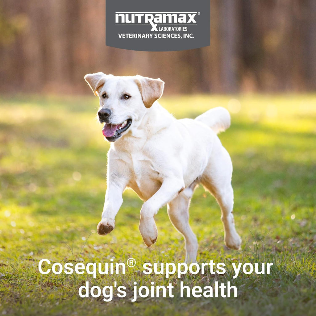 Nutramax Cosequin Joint Supplement for Dogs, Chewable Tablets, 132ct
