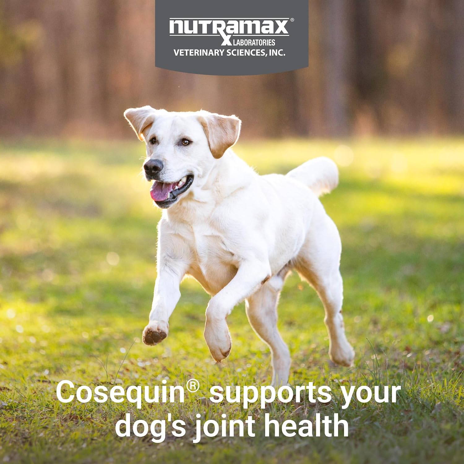 Nutramax Cosequin Joint Supplement for Dogs, Chewable Tablets, 132ct