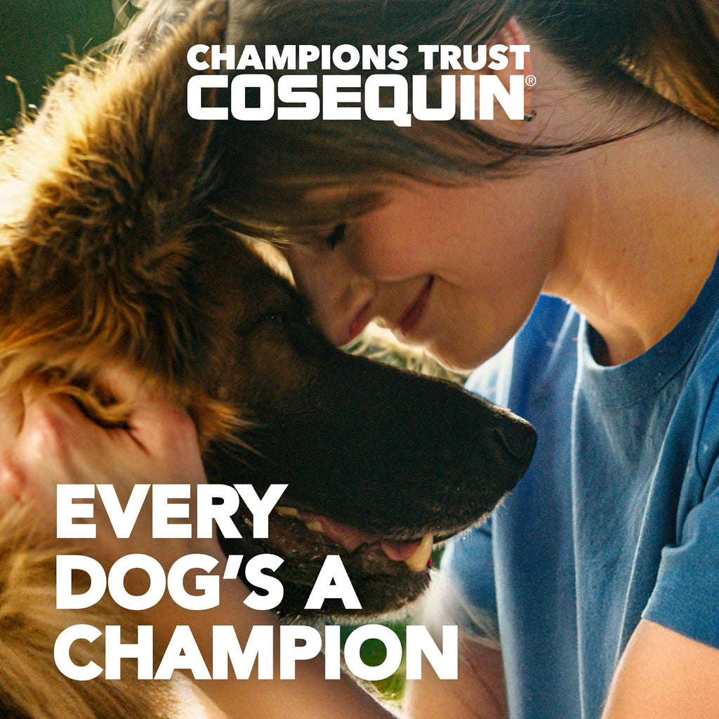 Nutramax Cosequin Joint Supplement for Dogs, Chewable Tablets, 132ct
