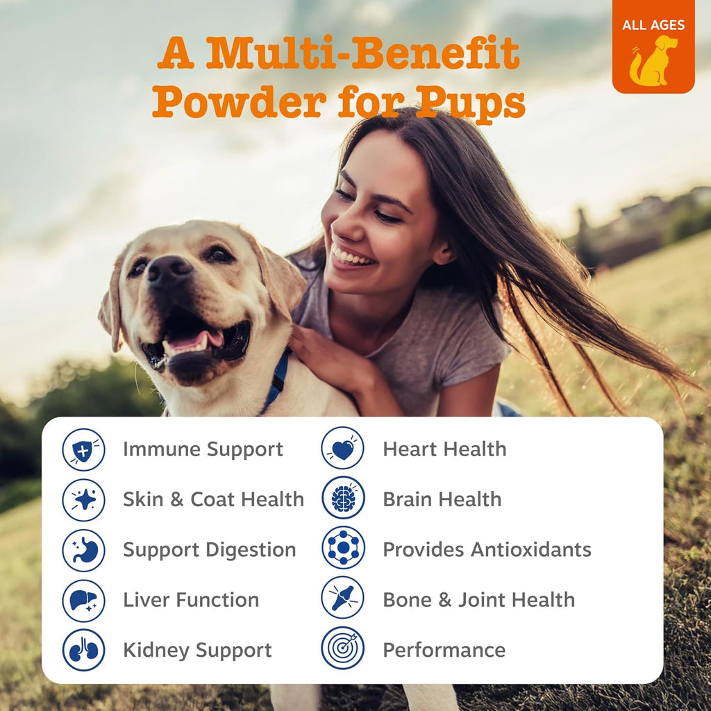 Zesty Paws Dog Vitamins - Dog Multivitamin Chews, Bison, 90 Ct