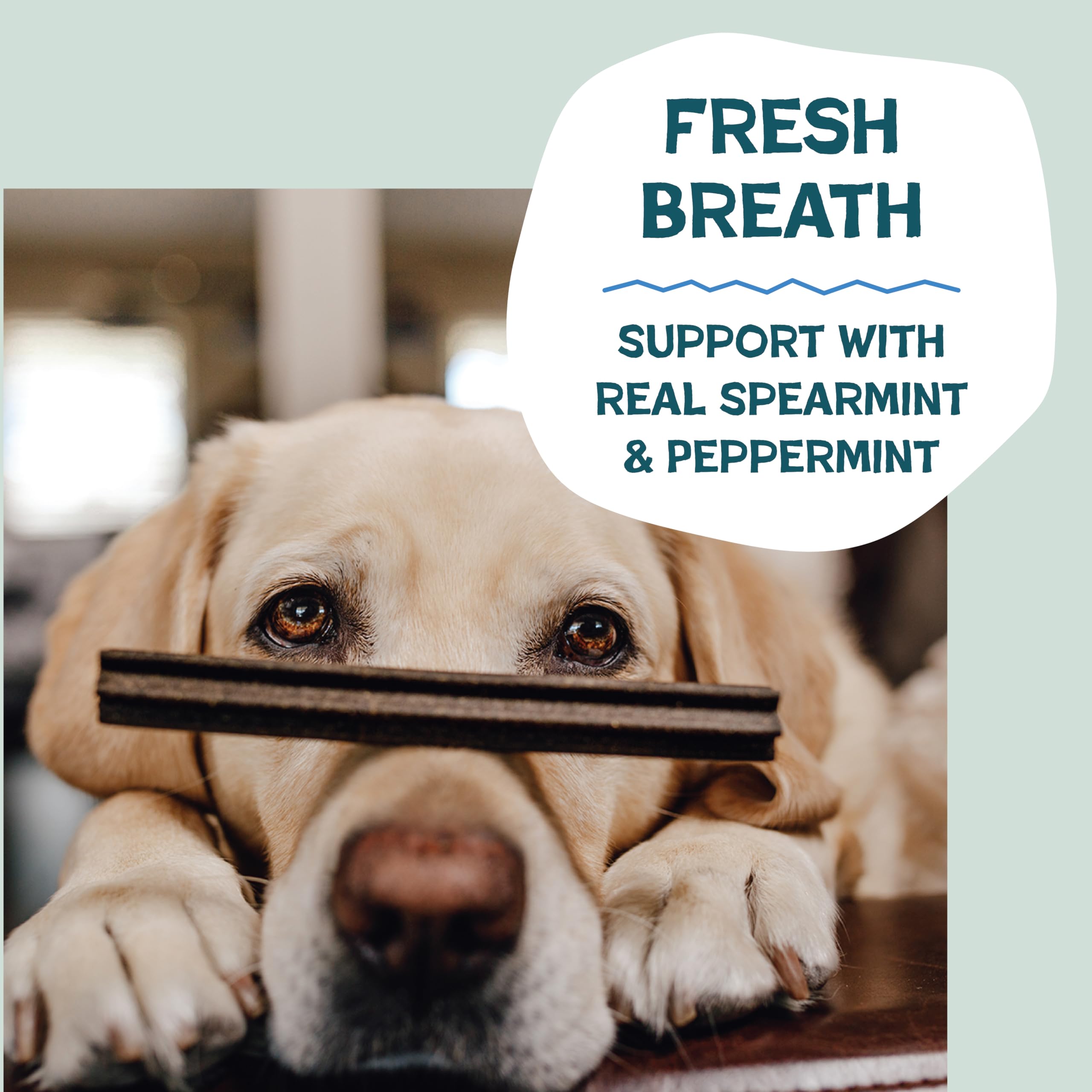Shameless Pets Blueberry & Mint Dental Chews for Dogs, 8 Chews