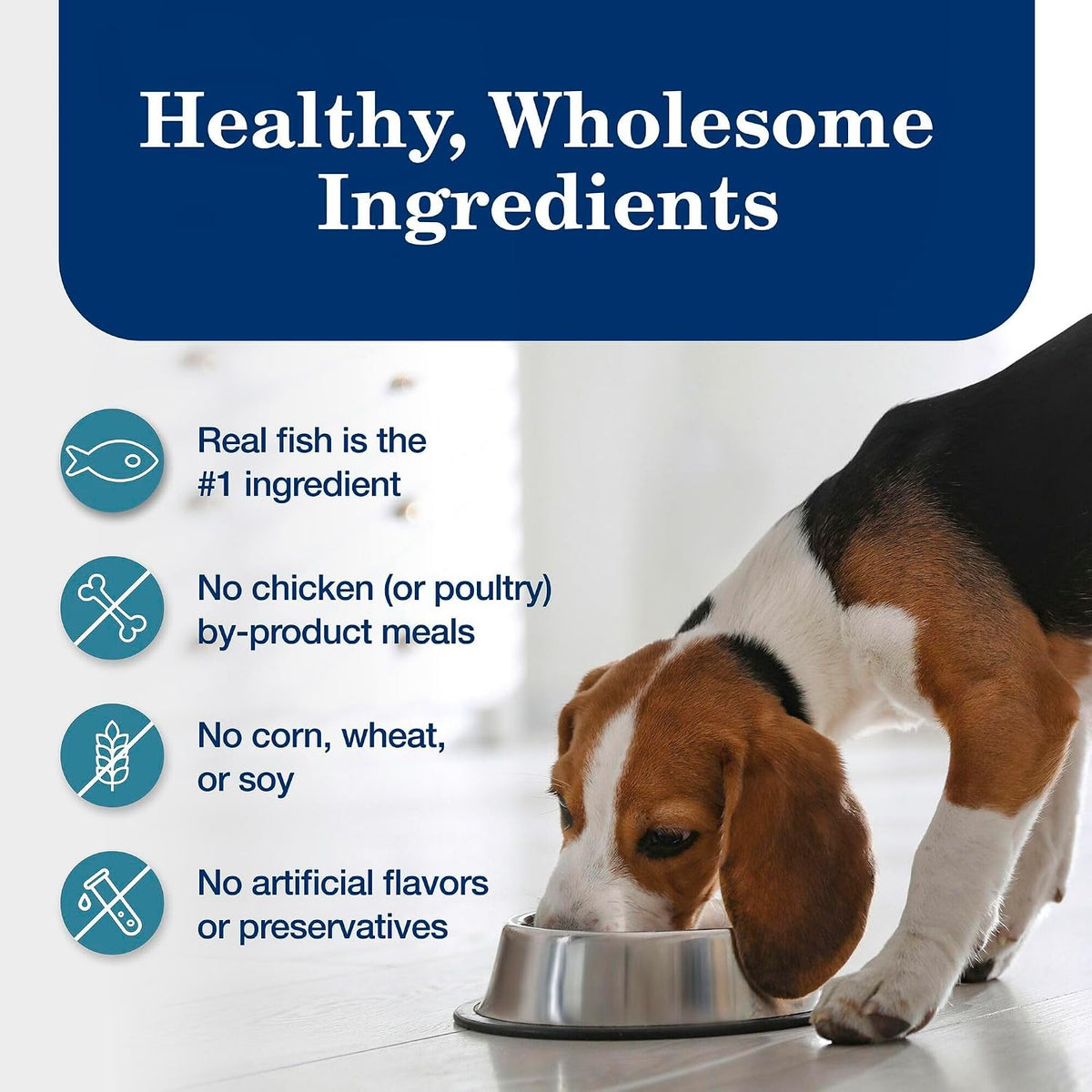 Blue Buffalo Homestyle Recipe Chicken Adult Wet Dog Food, 12.5 oz, 12 ct