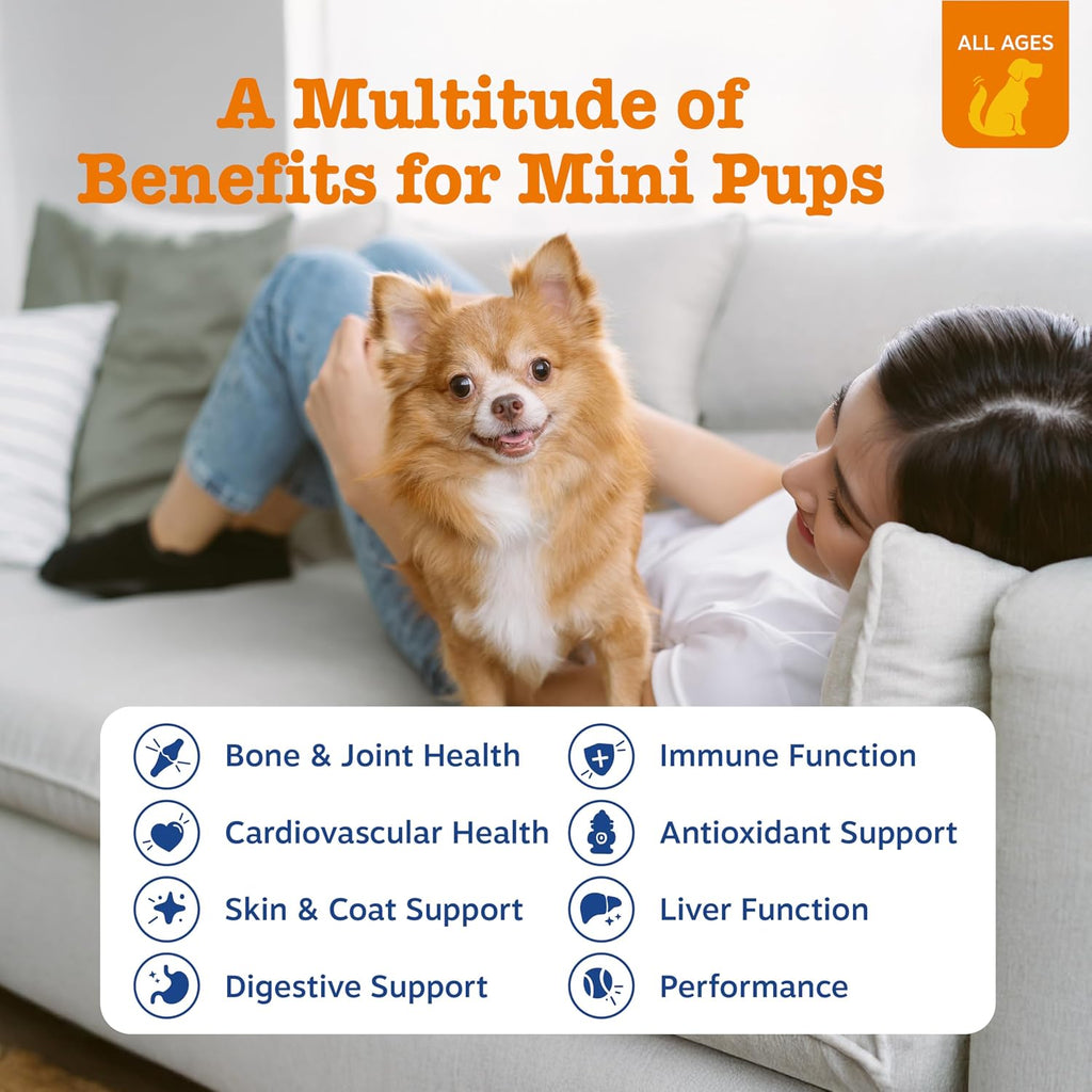 Zesty Paws Dog Vitamins - Dog Multivitamin Chews, Bison, 90 Ct