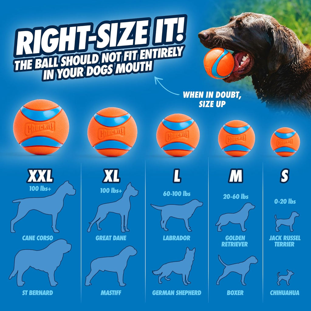 Chuckit! Ultra Ball Dog Toy, Durable Rubber, Medium 2.5-in, 2 Pack