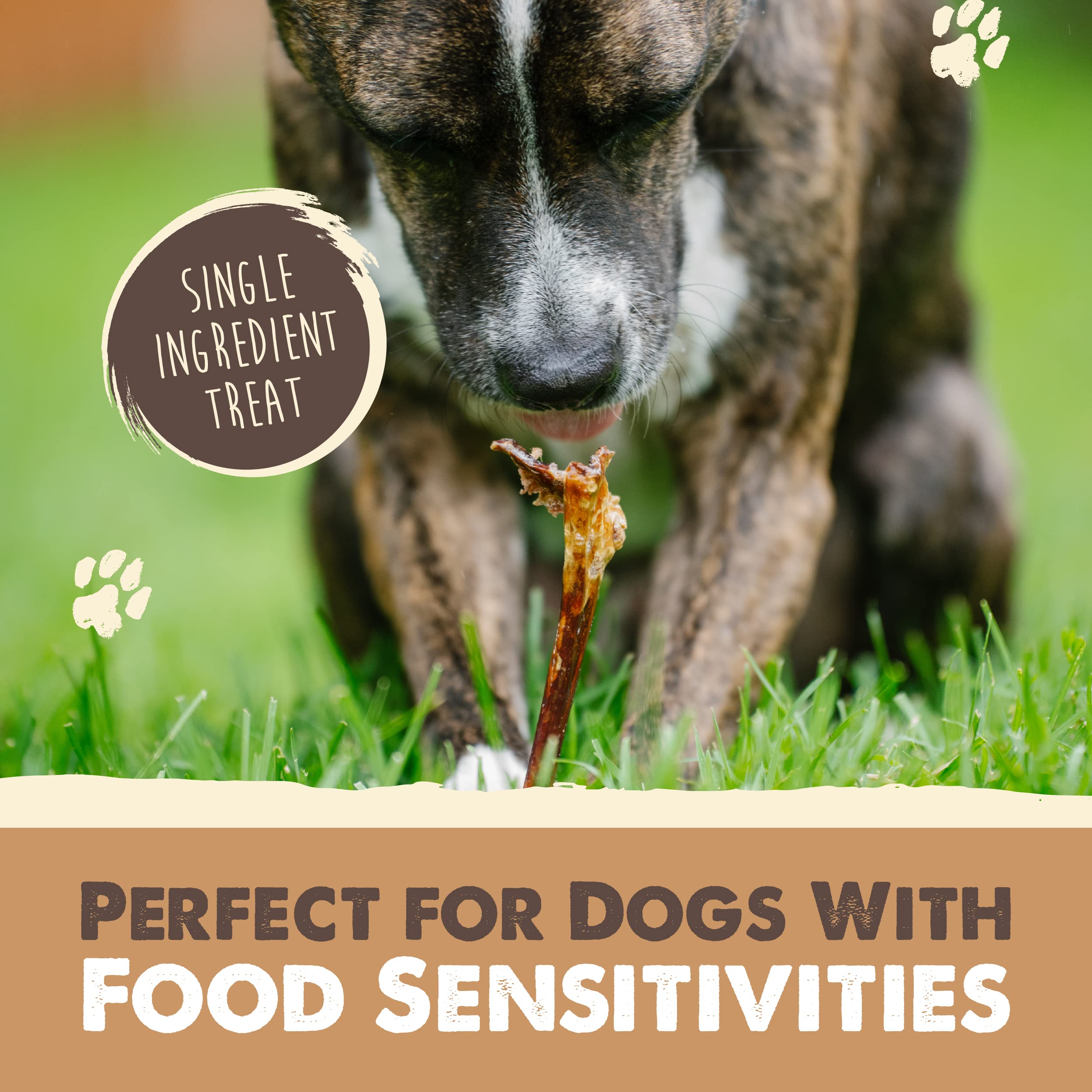 Mighty Paw 12" Bully Sticks for Dogs - Large, Medium and Small Breeds Chew