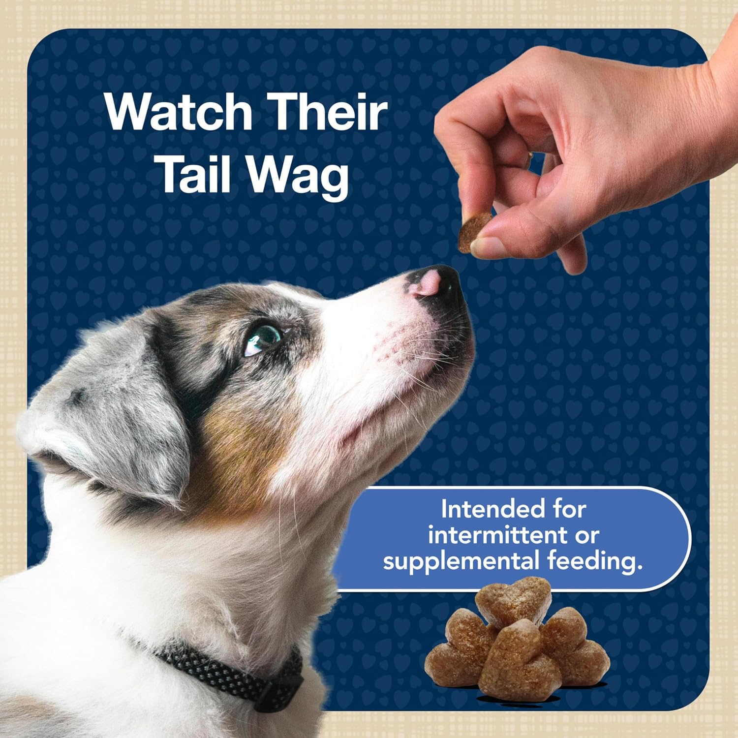 Blue Buffalo Bits Chicken Training Treats, 19 oz