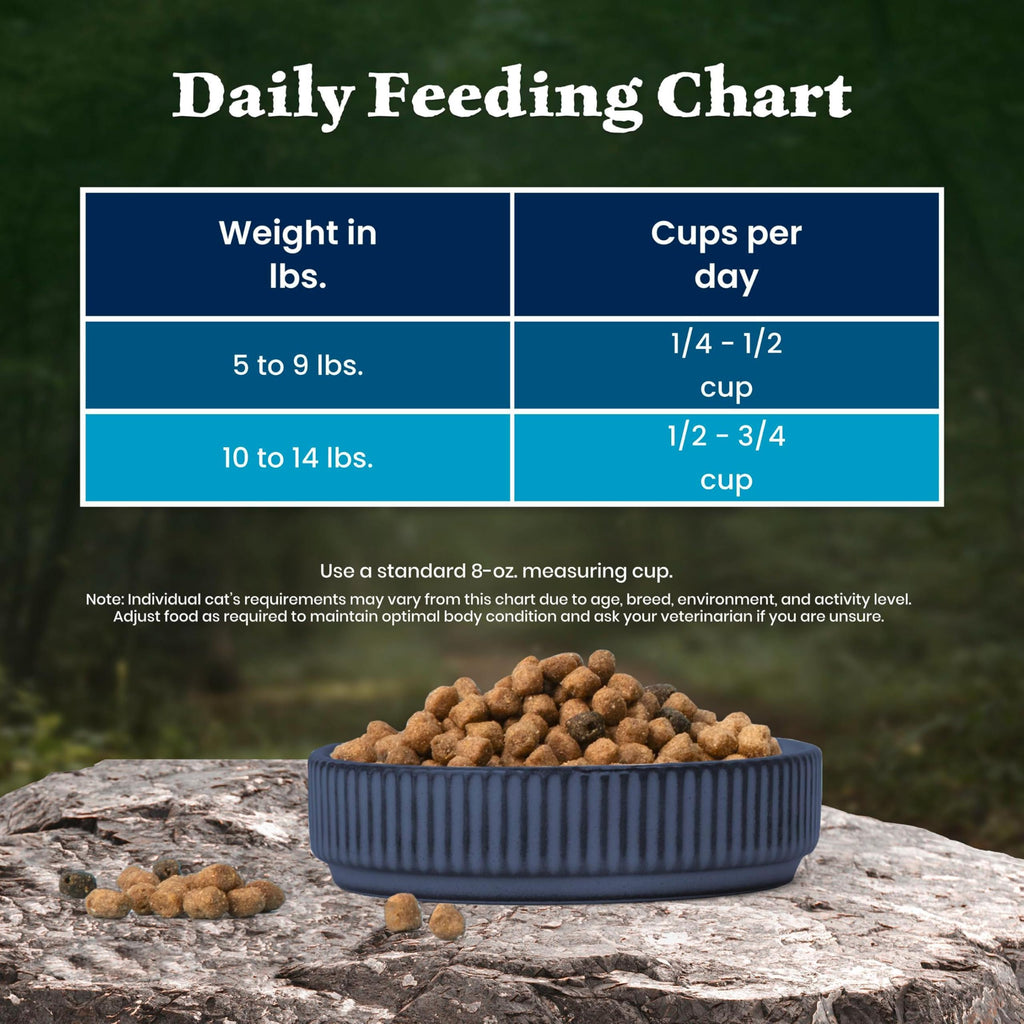 Blue Buffalo Wilderness Chicken Adult Dry Cat Food, Grain-Free, 12 lb