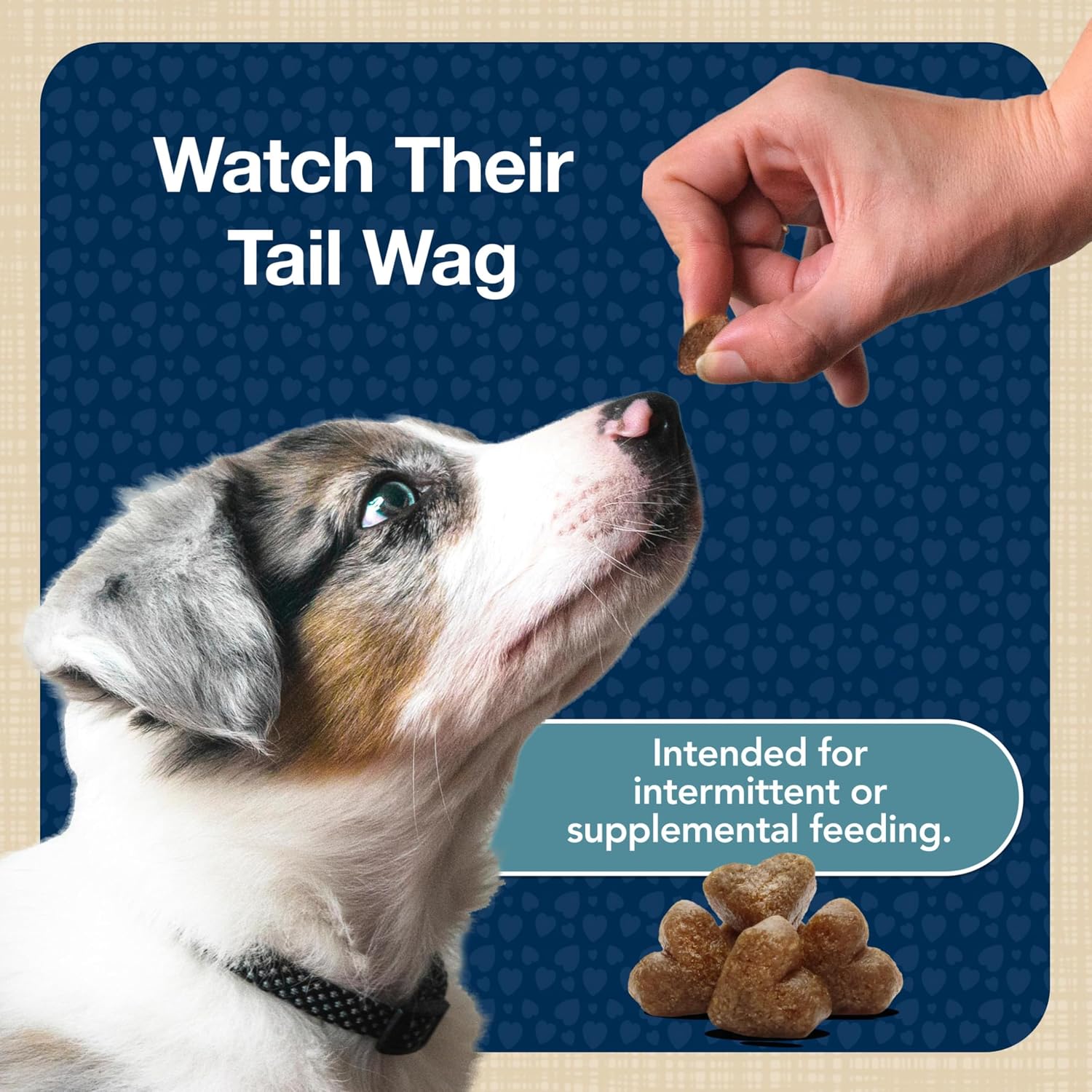 Blue Buffalo Bits Chicken Training Treats, 19 oz