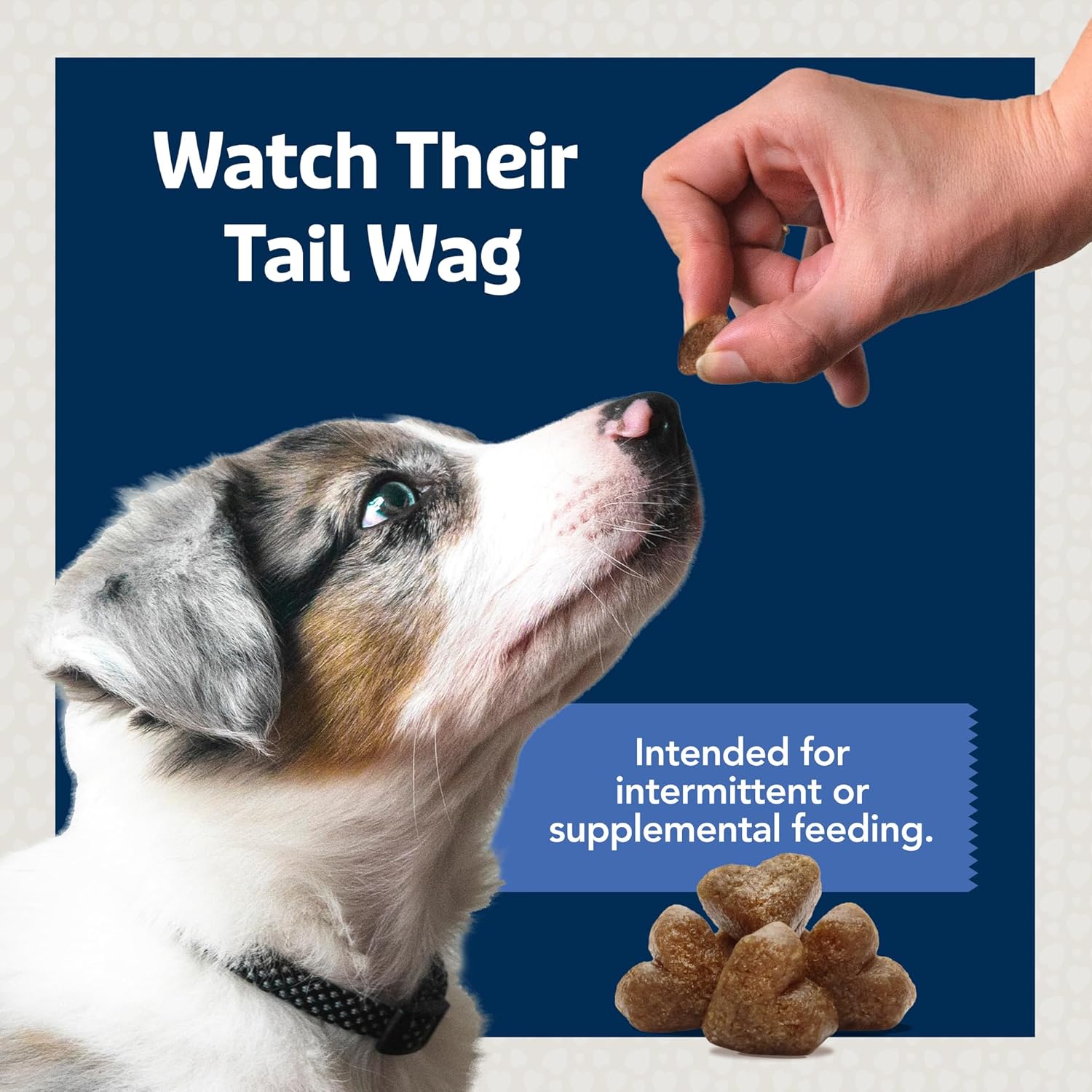 Blue Buffalo Bits Chicken Training Treats, 19 oz
