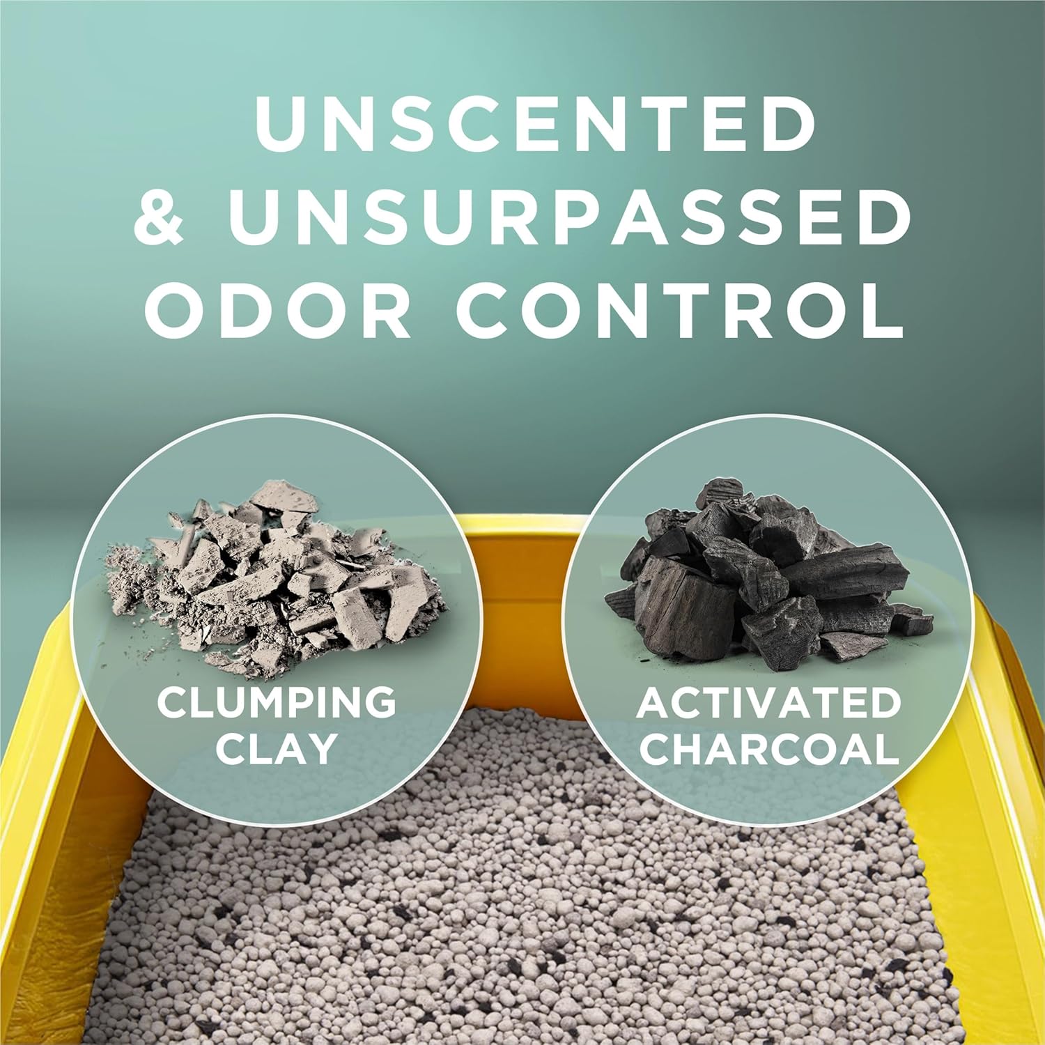 Purina Tidy Cats Free and Clean Unscented Clumping Cat Litter, 38 lb Box