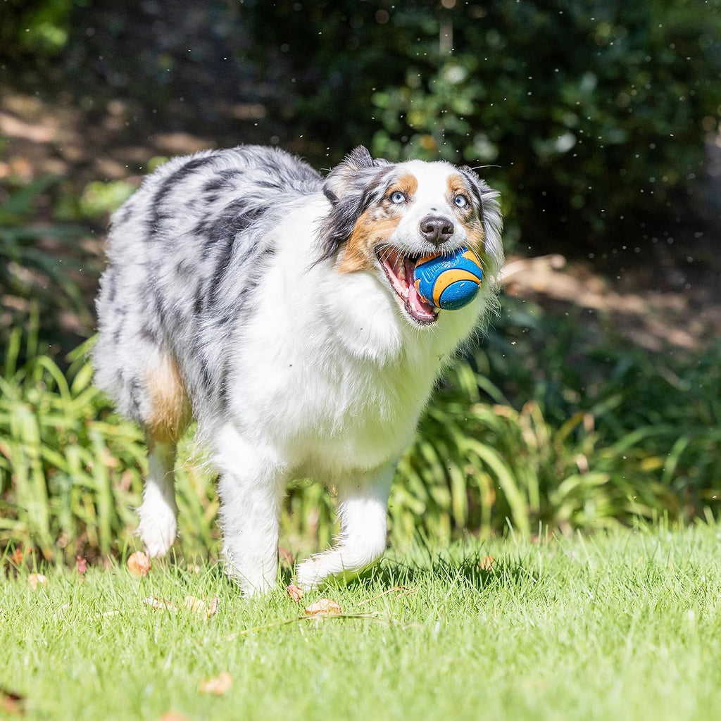 Chuckit! Ultra Ball Dog Toy, Durable Rubber, Medium 2.5-in, 2 Pack