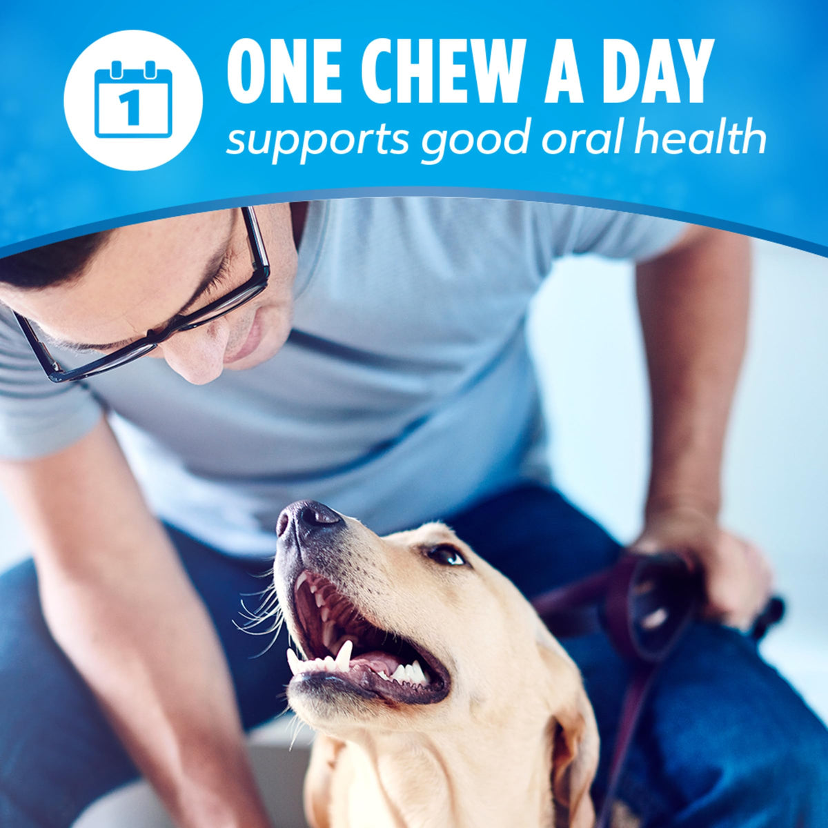 Dentalife Purina Daily Oral Care Dental Dog Treats for Large Dogs, 30 ct