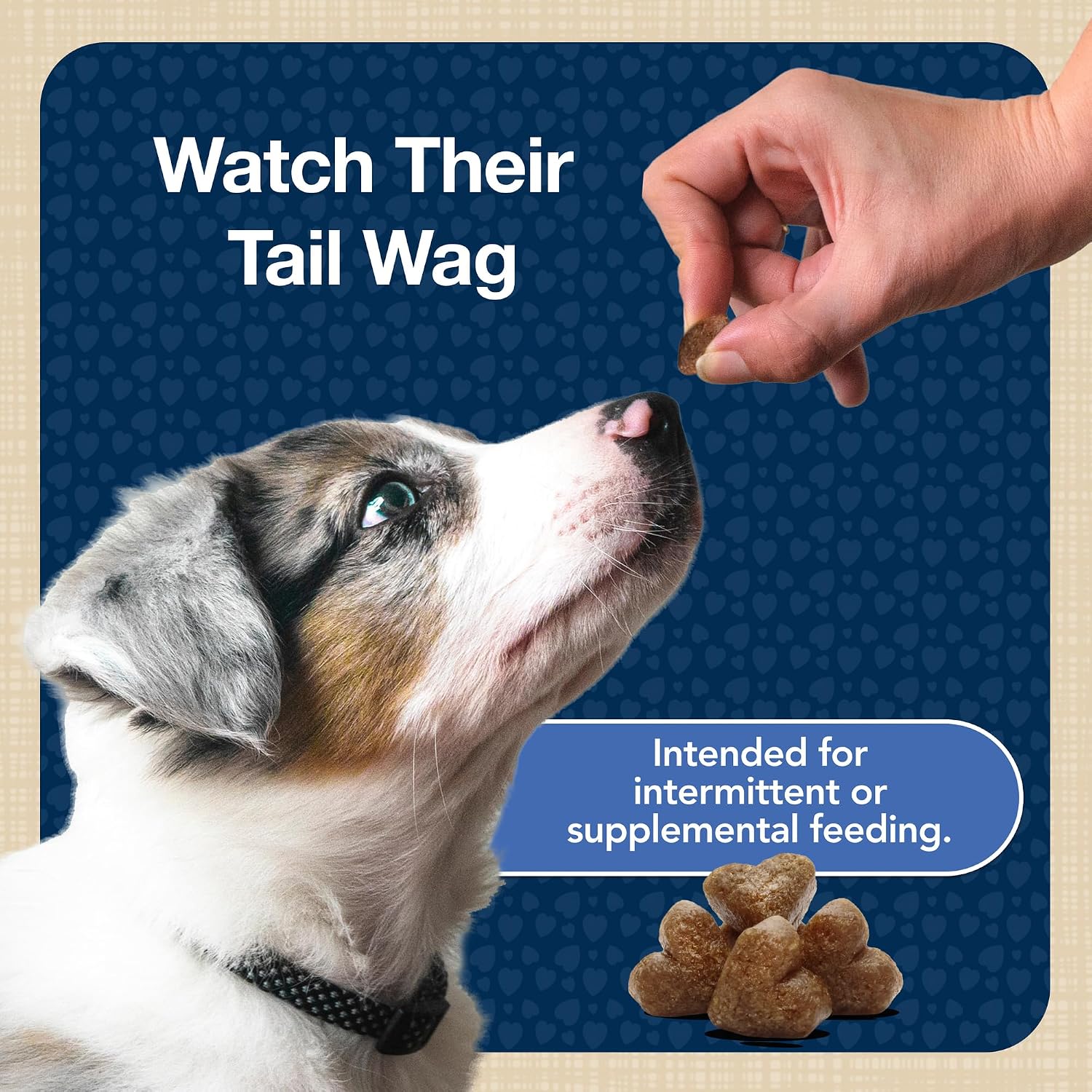 Blue Buffalo Bits Chicken Training Treats, 19 oz