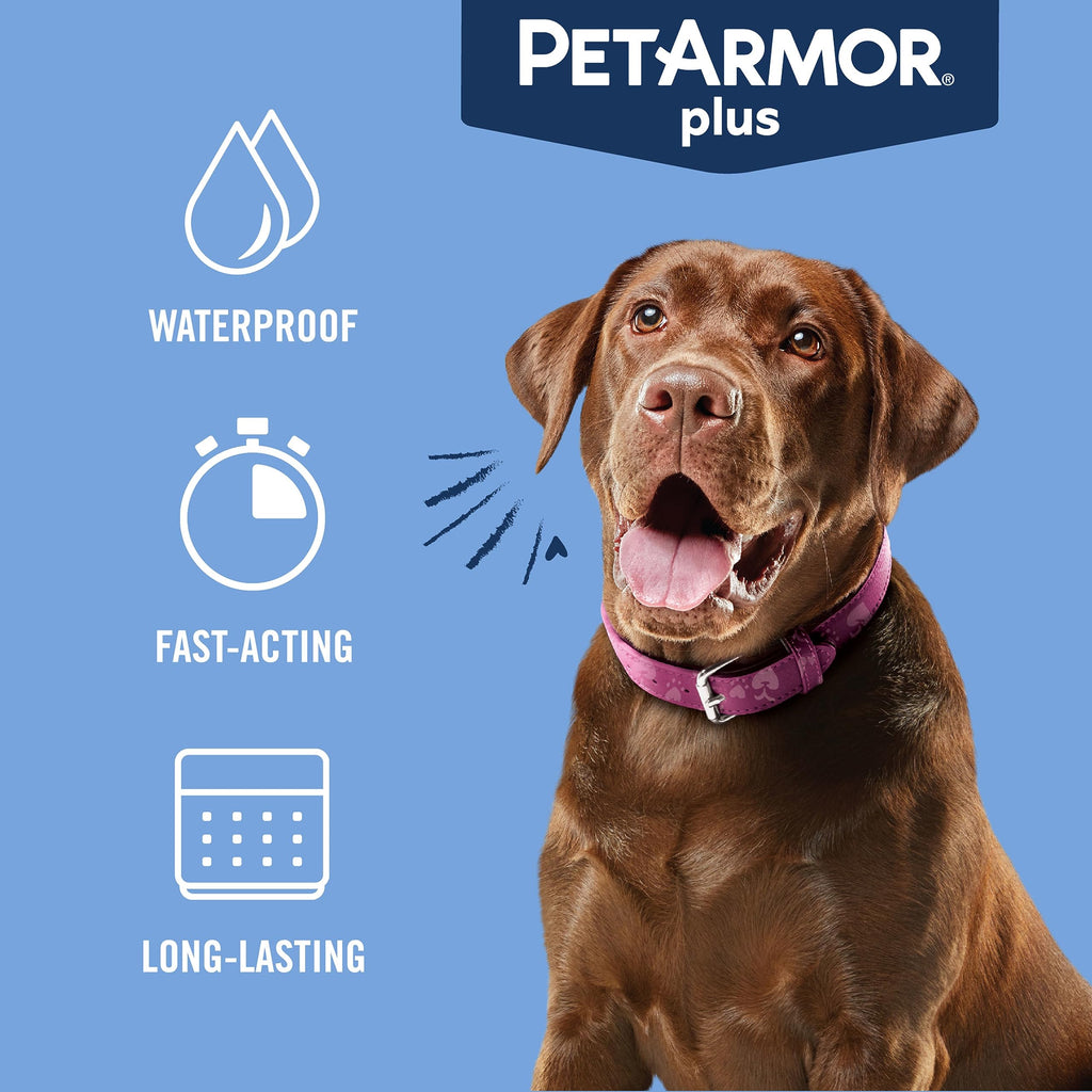 PetArmor Plus Flea and Tick Prevention for Cats, Cat Flea and Tick Treatment, 3 Doses, Waterproof Topical, Fast Acting, Cats Over 1.5 lbs