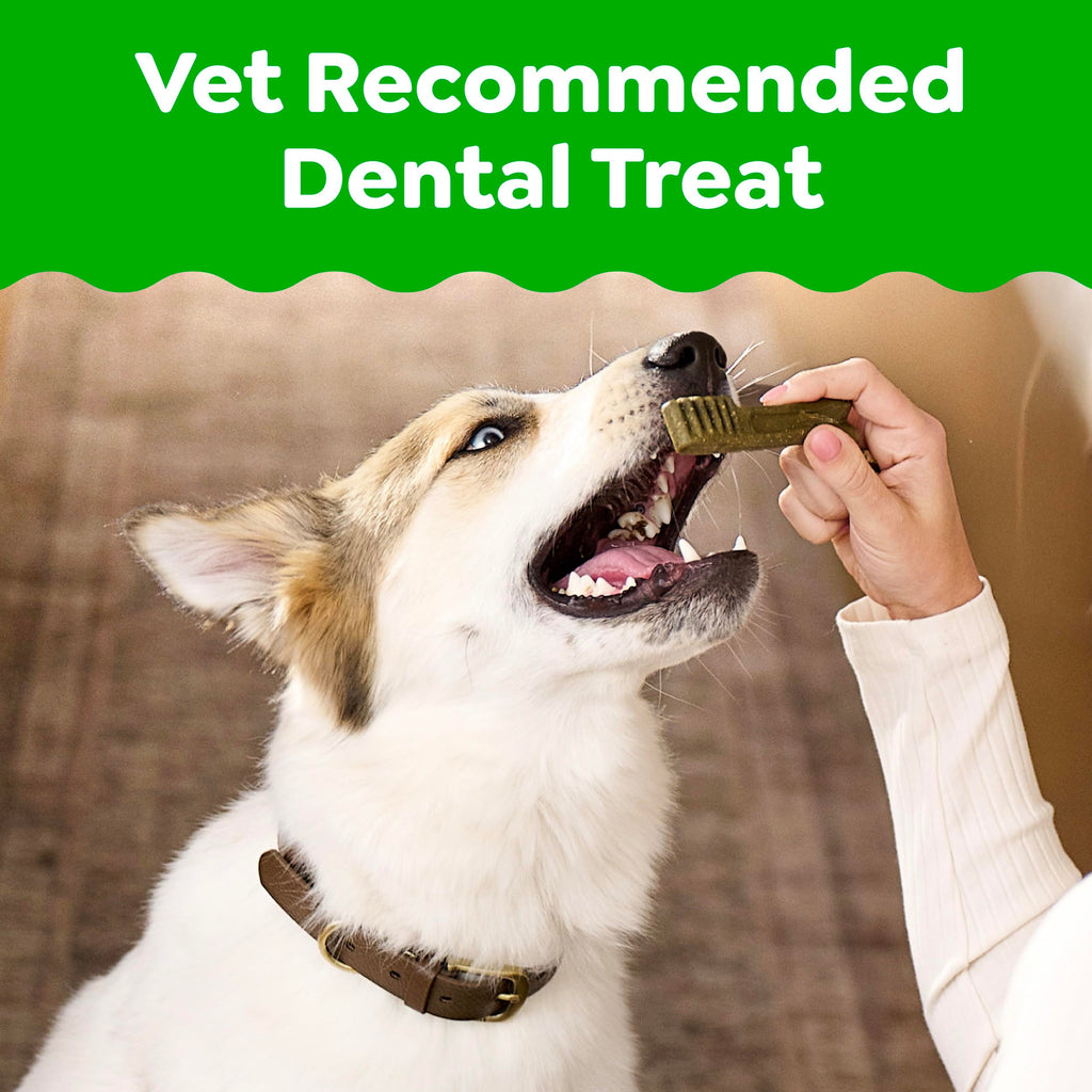 Greenies Large Natural Dental Dog Treats, Original Flavor, 17 Count