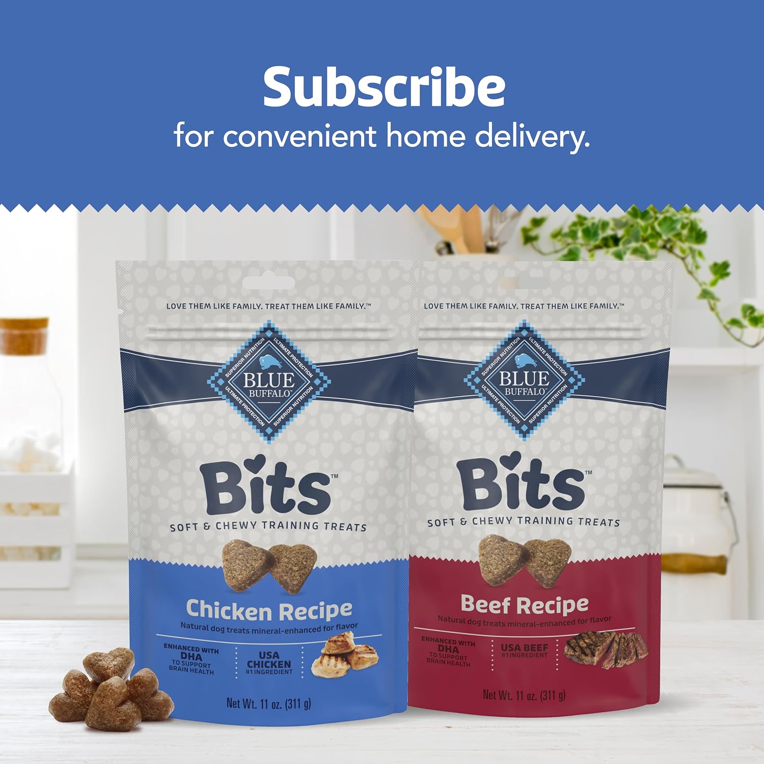 Blue Buffalo Bits Chicken Training Treats, 19 oz