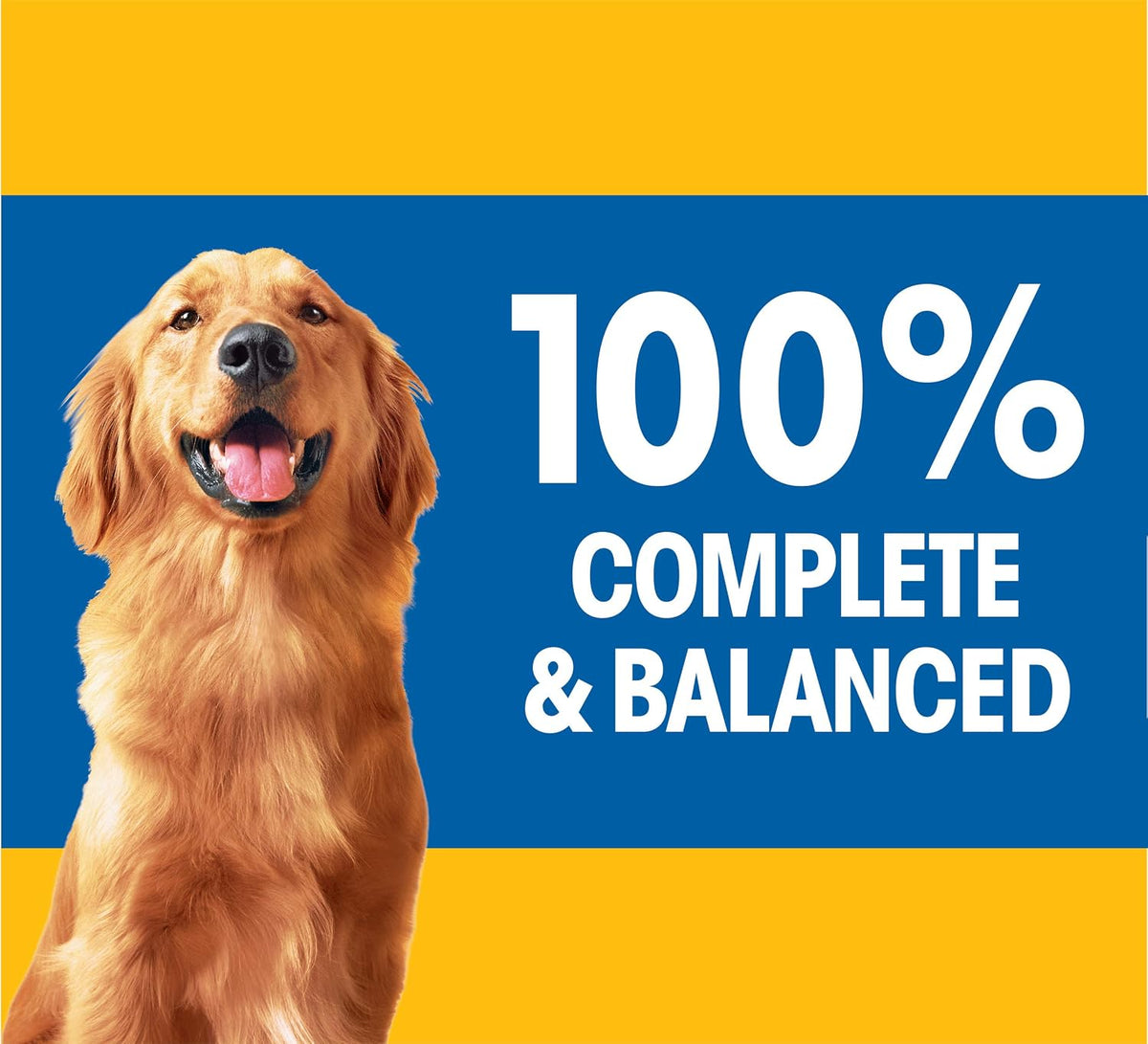 Pedigree Complete Nutrition Dry Dog Food, Chicken & Vegetable, 3.5 lb