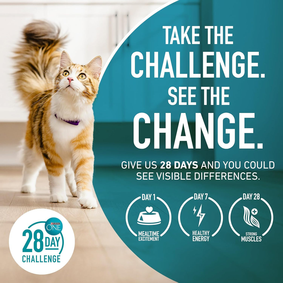 Purina ONE Indoor Advantage Weight Control Dry Cat Food, 16 lb Bag