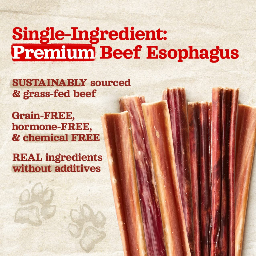Natural Farm Odor-Free Bully Sticks (6 Inch, 25 count),1.3 lb. Bag, Fully Digestible 100% Beef Pizzle Chews,Grass-Fed, Non-GMO,Grain-Free, Natural Long-Lasting Chews for Small & Large Dogs. Pack of 25