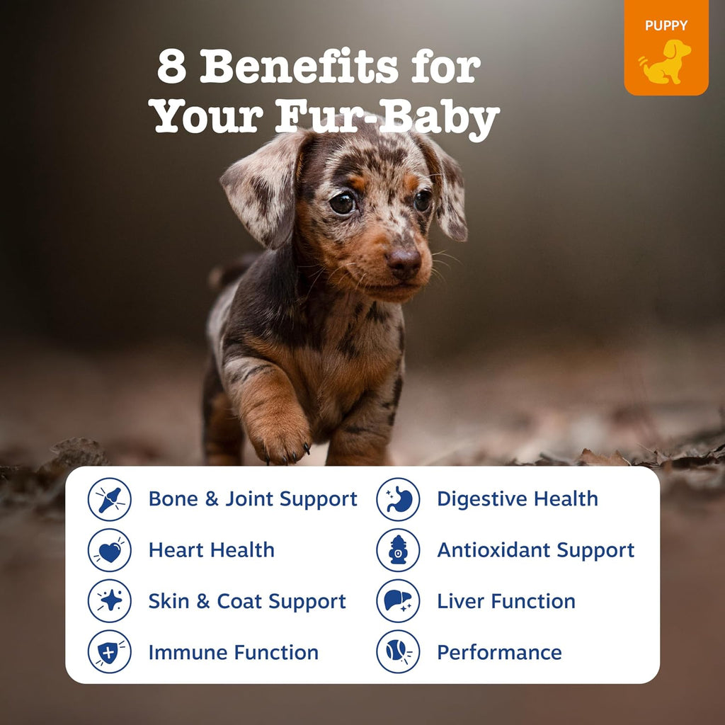 Zesty Paws Dog Vitamins - Dog Multivitamin Chews, Bison, 90 Ct