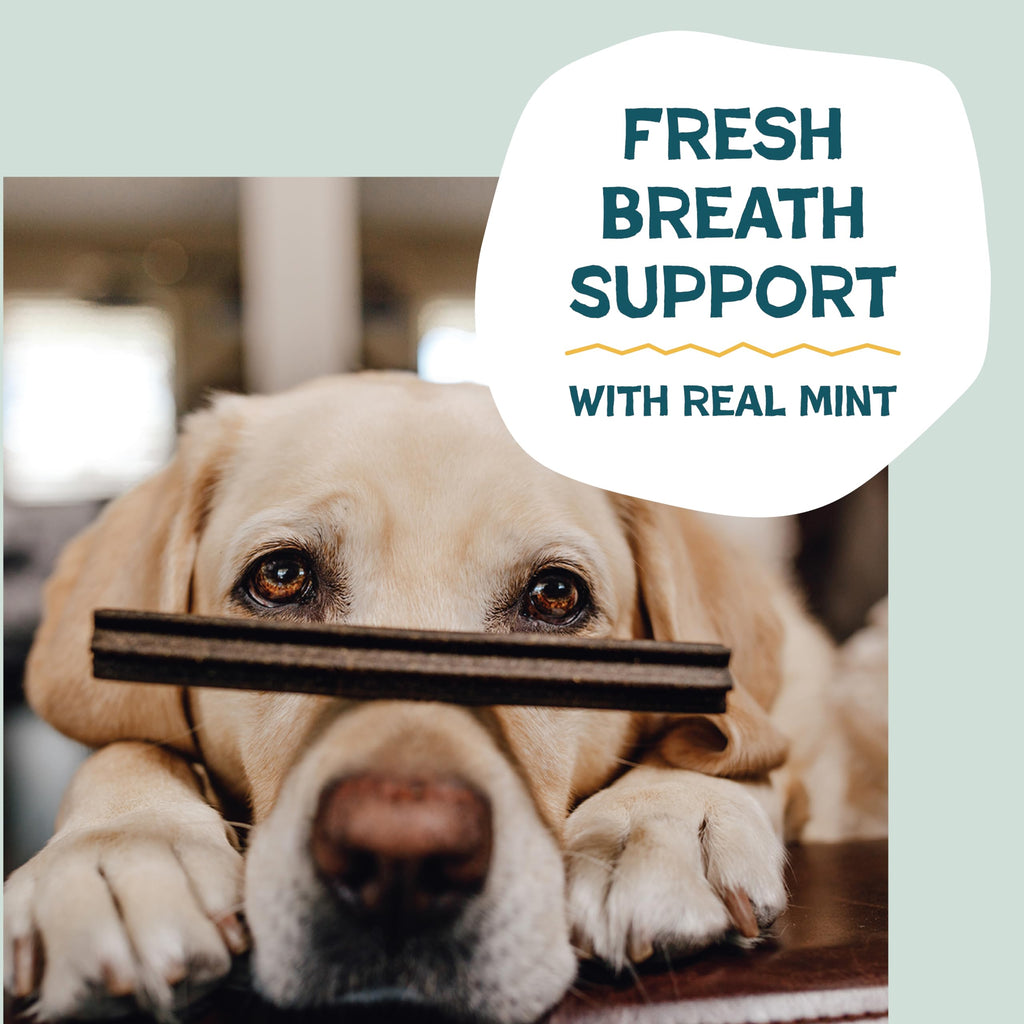 Shameless Pets Blueberry & Mint Dental Chews for Dogs, 8 Chews