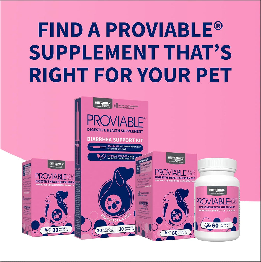 Nutramax Proviable Probiotics + Prebiotics, for Dogs & Cats, Capsules, 80ct
