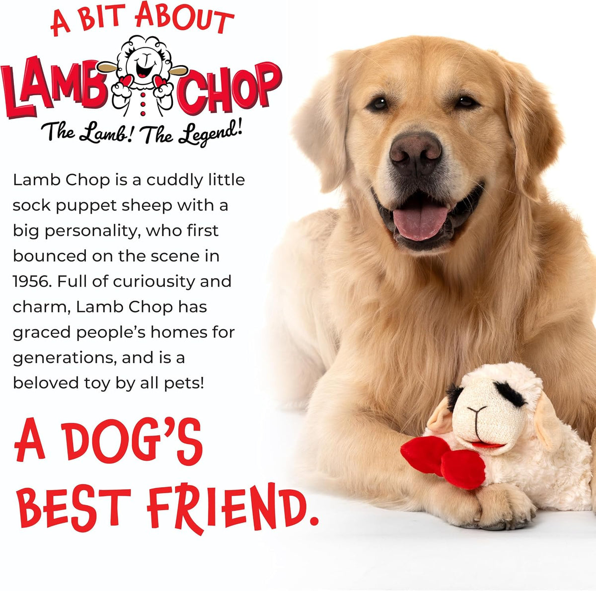 Multipet Lamb Chop Dog Plush Toy - Squeaky Toy for All Dogs - Extra Soft Plush - Stuffed Animal Dog Toy for Cuddling & Playing - Cute Pet Toy (6", Cream)