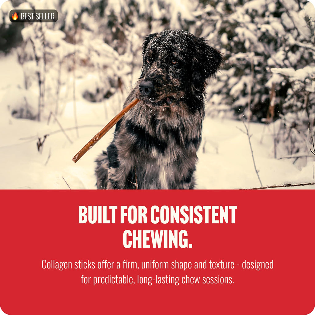 Natural Farm Odor-Free Bully Sticks (6 Inch, 25 count),1.3 lb. Bag, Fully Digestible 100% Beef Pizzle Chews,Grass-Fed, Non-GMO,Grain-Free, Natural Long-Lasting Chews for Small & Large Dogs. Pack of 25