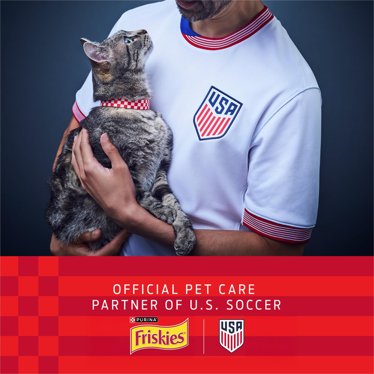 Purina Friskies Prime Filets Cat Food Variety Pack, 48 Ct Cans