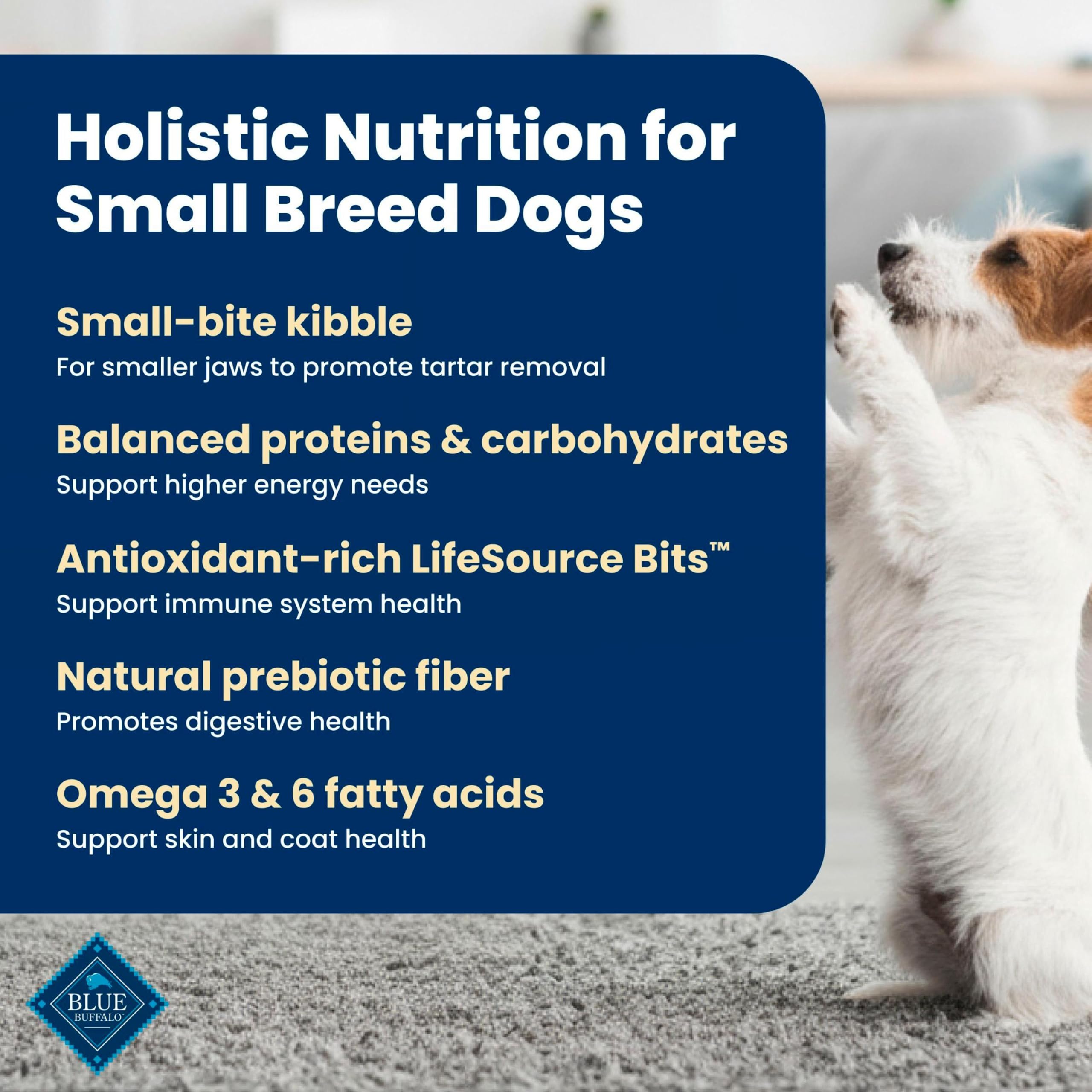 Blue Buffalo Life Protection Formula Chicken Small Breed Dry Dog Food, 5 lb