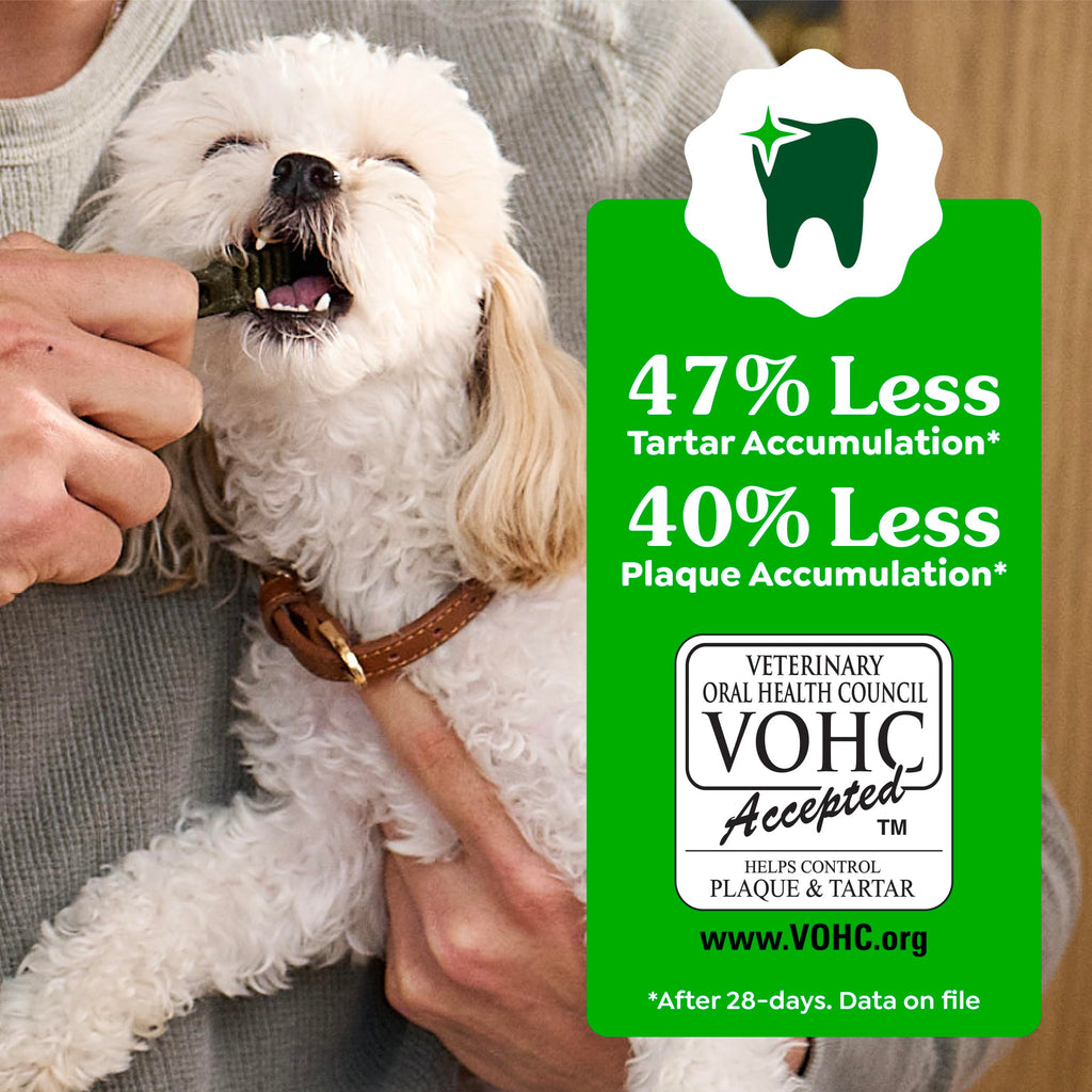 Greenies Large Natural Dental Dog Treats, Original Flavor, 17 Count