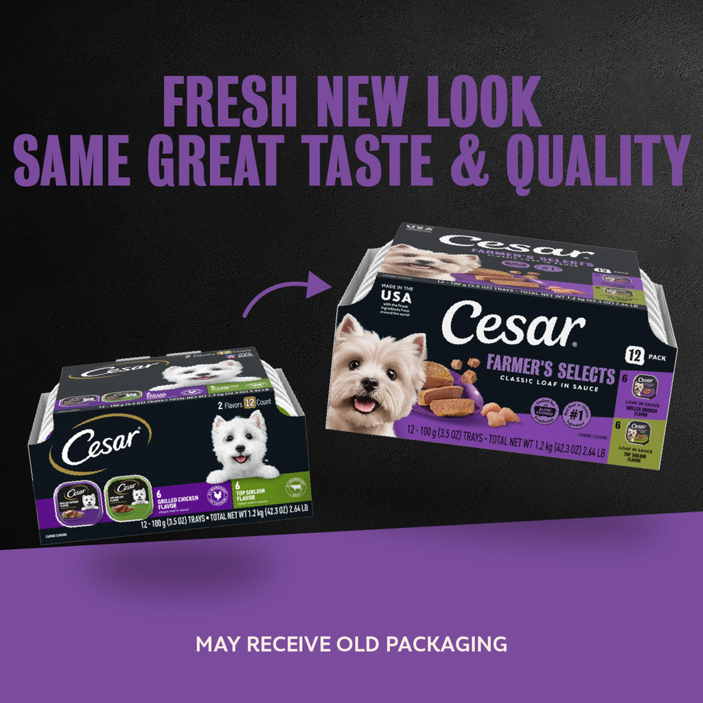 Cesar Classic Loaf in Sauce Wet Dog Food, Meaty Selects, 3.5 oz, 24 Count