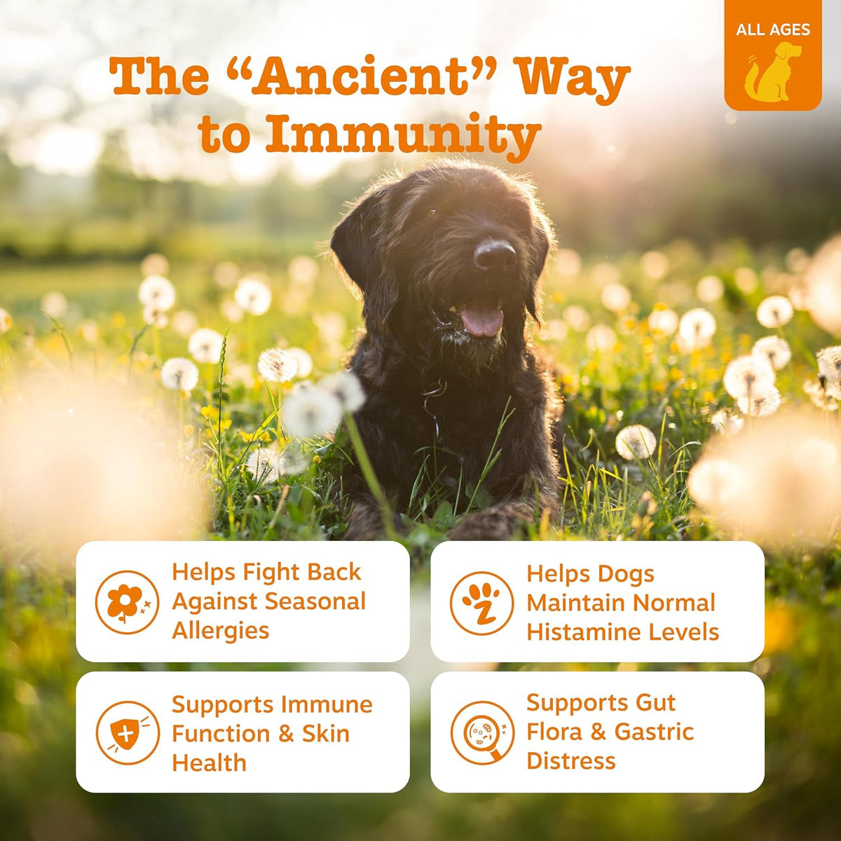 Zesty Paws Dog Allergy Chews - Dog Allergy Relief, Lamb, 90 Ct