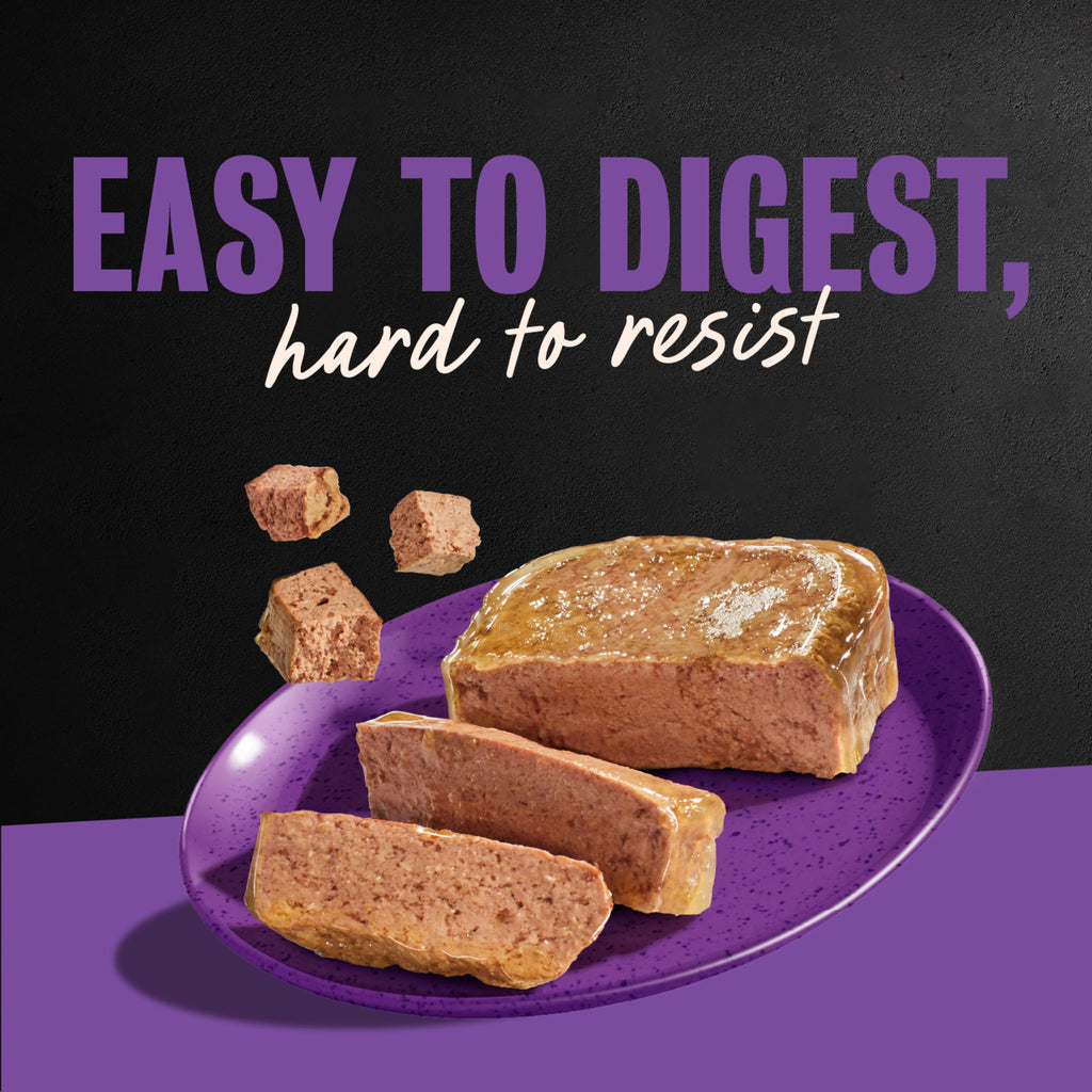 Cesar Classic Loaf in Sauce Wet Dog Food, Meaty Selects, 3.5 oz, 24 Count