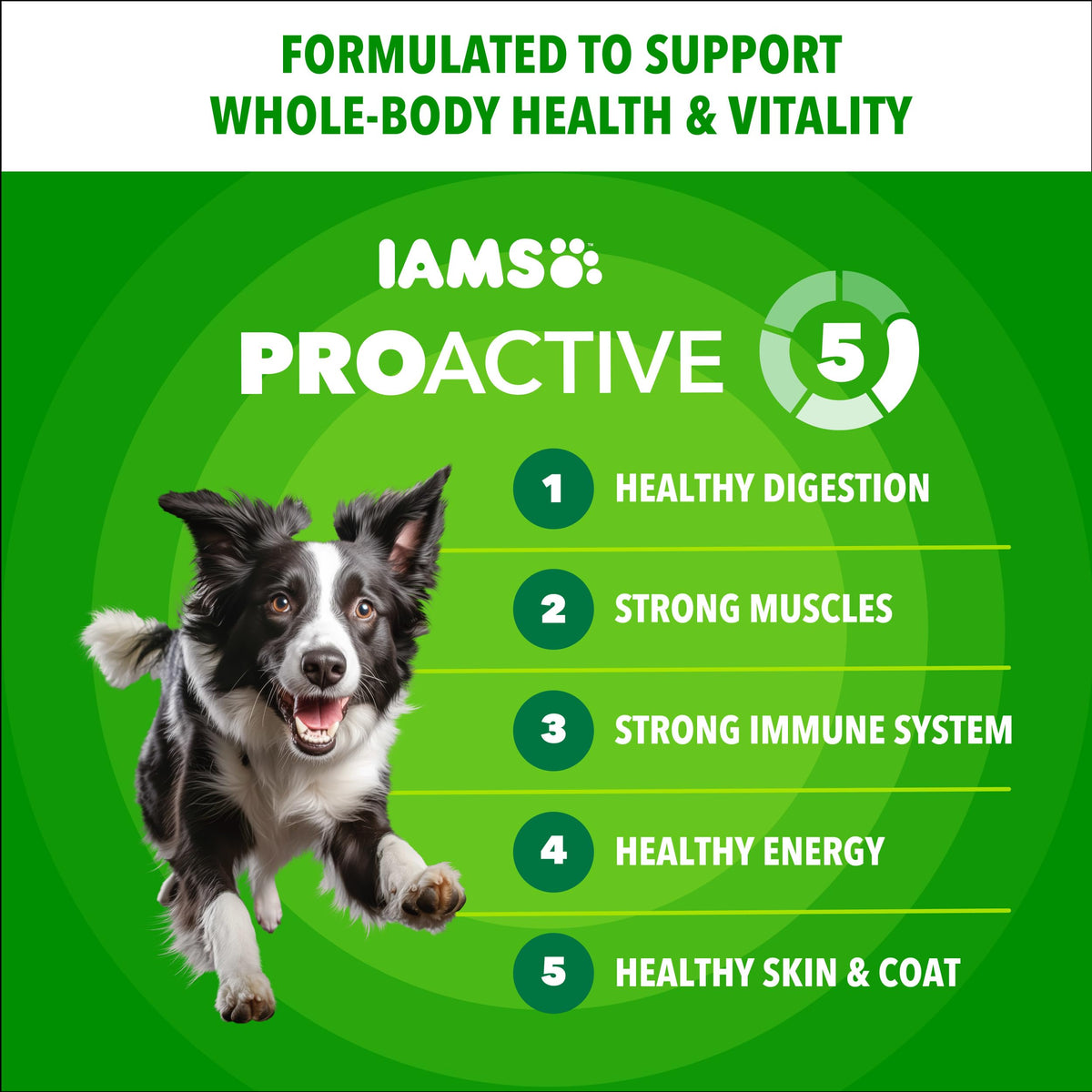 IAMS Proactive Health Adult Minichunks Dry Dog Food, Chicken, 40 lb