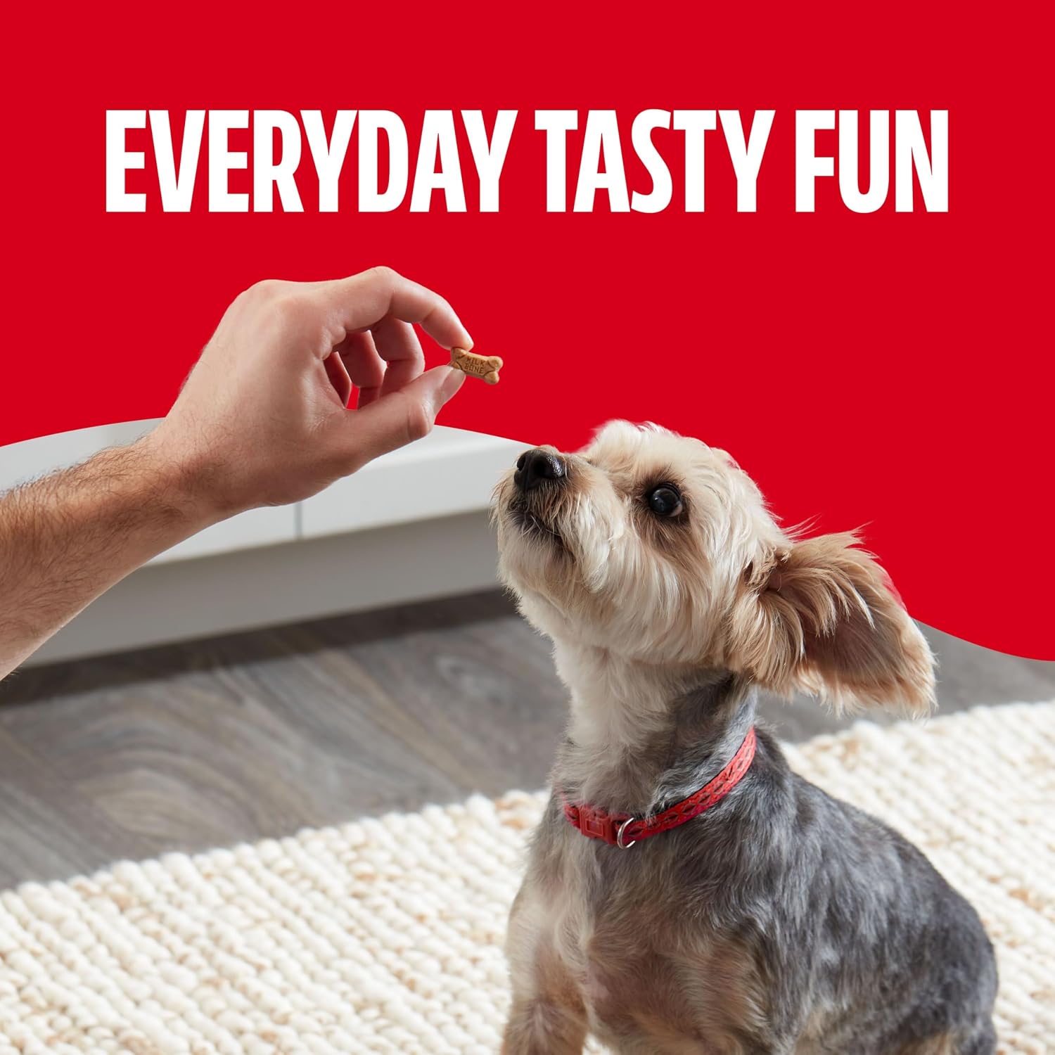 Milk-Bone Soft & Chewy Dog Treats, 25 Oz. Canister