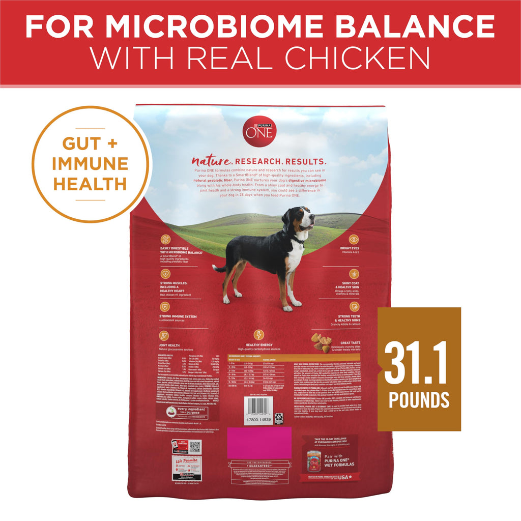 Purina ONE Lamb and Rice Dry Dog Food, 31.1 lb Bag