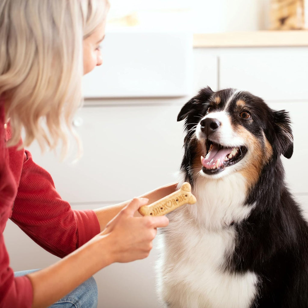 Milk-Bone Original Medium Dog Biscuits, 10 lb Box