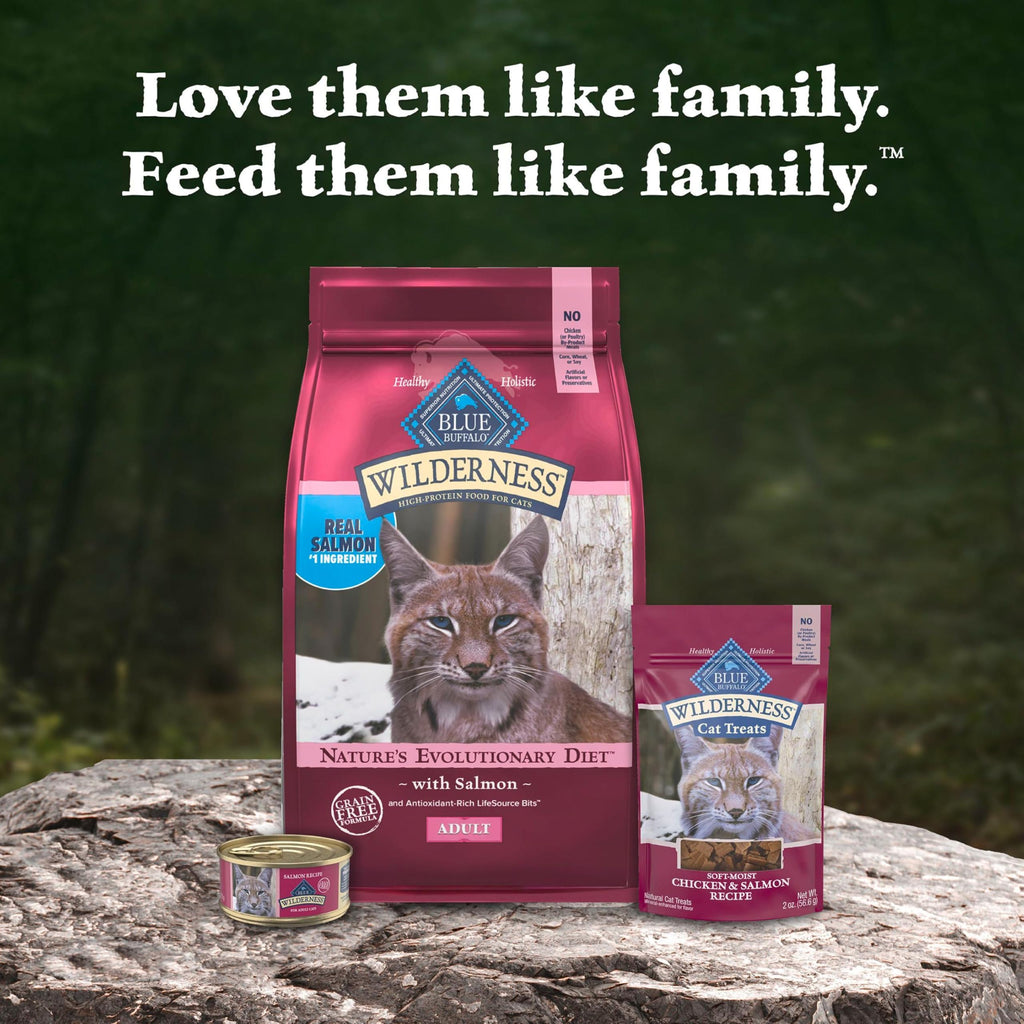 Blue Buffalo Wilderness Chicken Adult Dry Cat Food, Grain-Free, 12 lb
