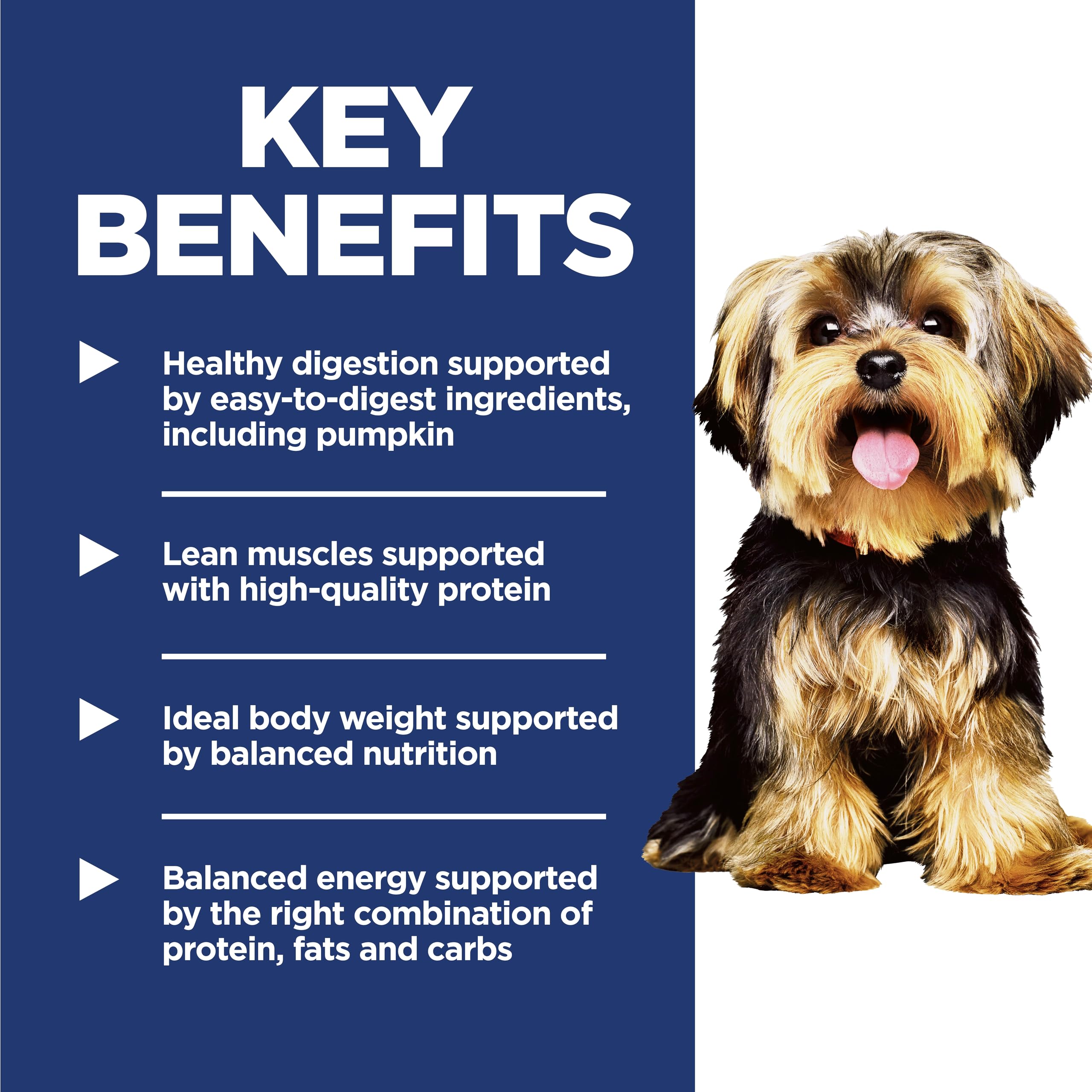 Hill's Science Diet Adult 1-6 Small & Mini Dry Dog Food