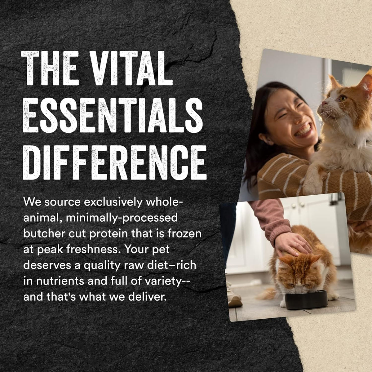 Vital Essentials Freeze Dried Minnows Cat Treats, 1.0 oz Bag