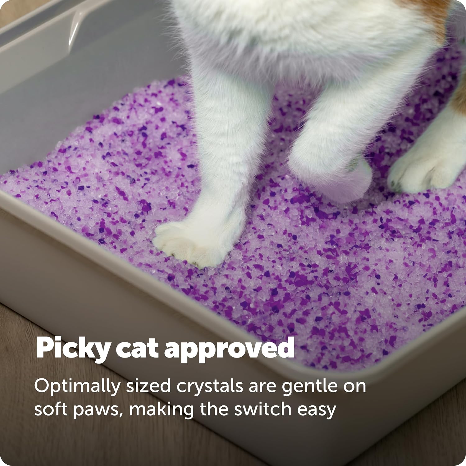 PetSafe ScoopFree Premium Crystal Litter, Lavender Scent, 4.3Lb Bag, 2 Pack