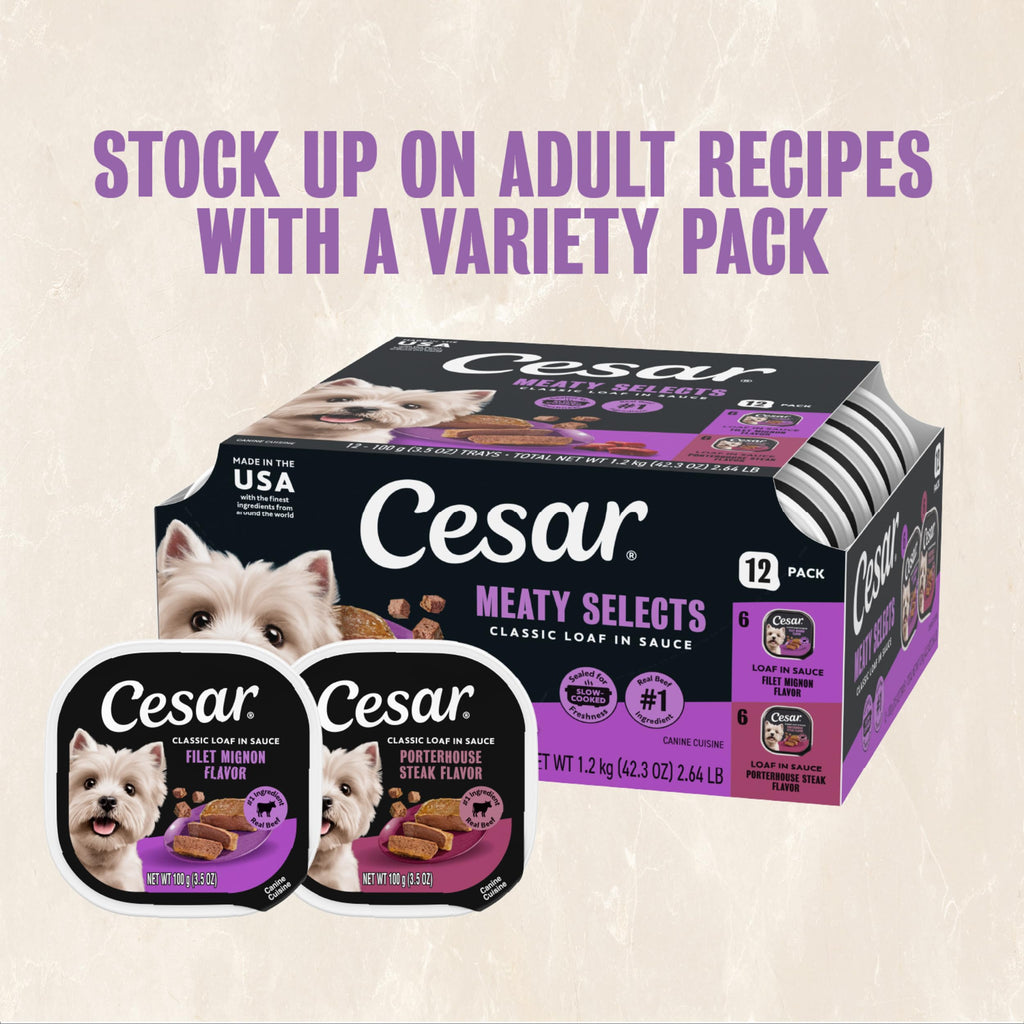 Cesar Classic Loaf in Sauce Wet Dog Food, Meaty Selects, 3.5 oz, 24 Count
