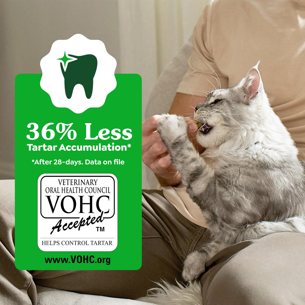 Greenies Feline Natural Dental Cat Treats, Roasted Chicken Flavor, 9.75 oz