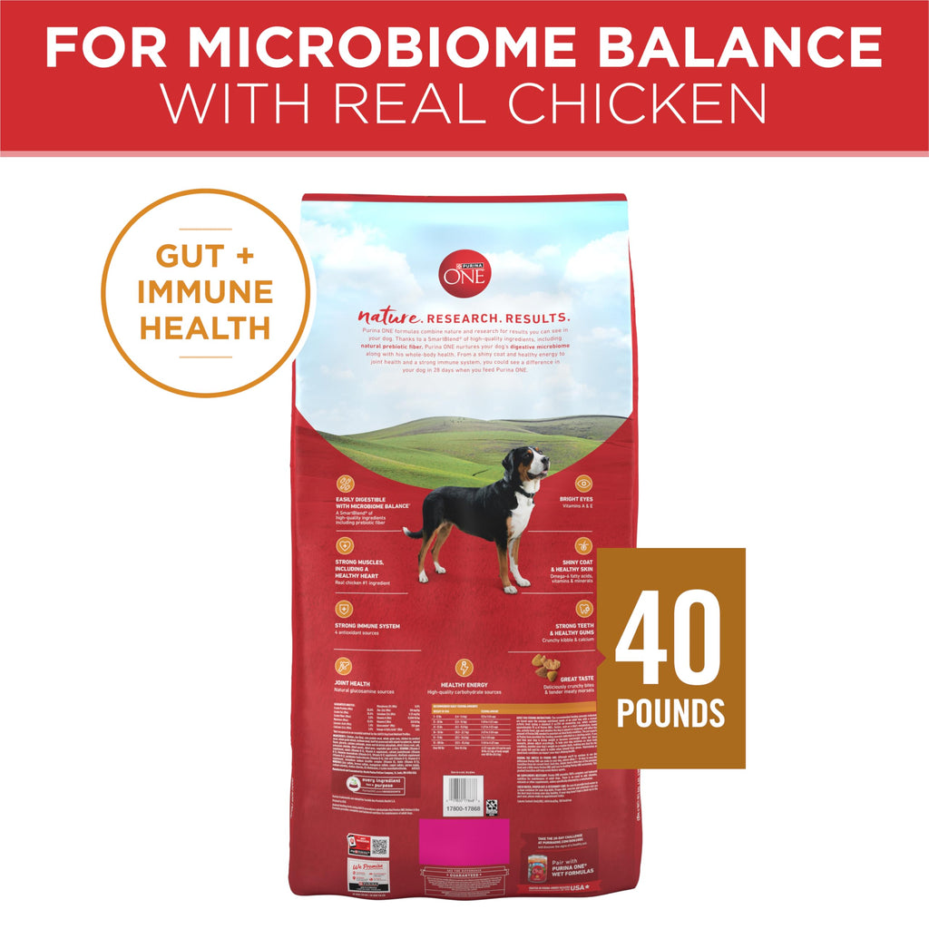 Purina ONE Lamb and Rice Dry Dog Food, 31.1 lb Bag