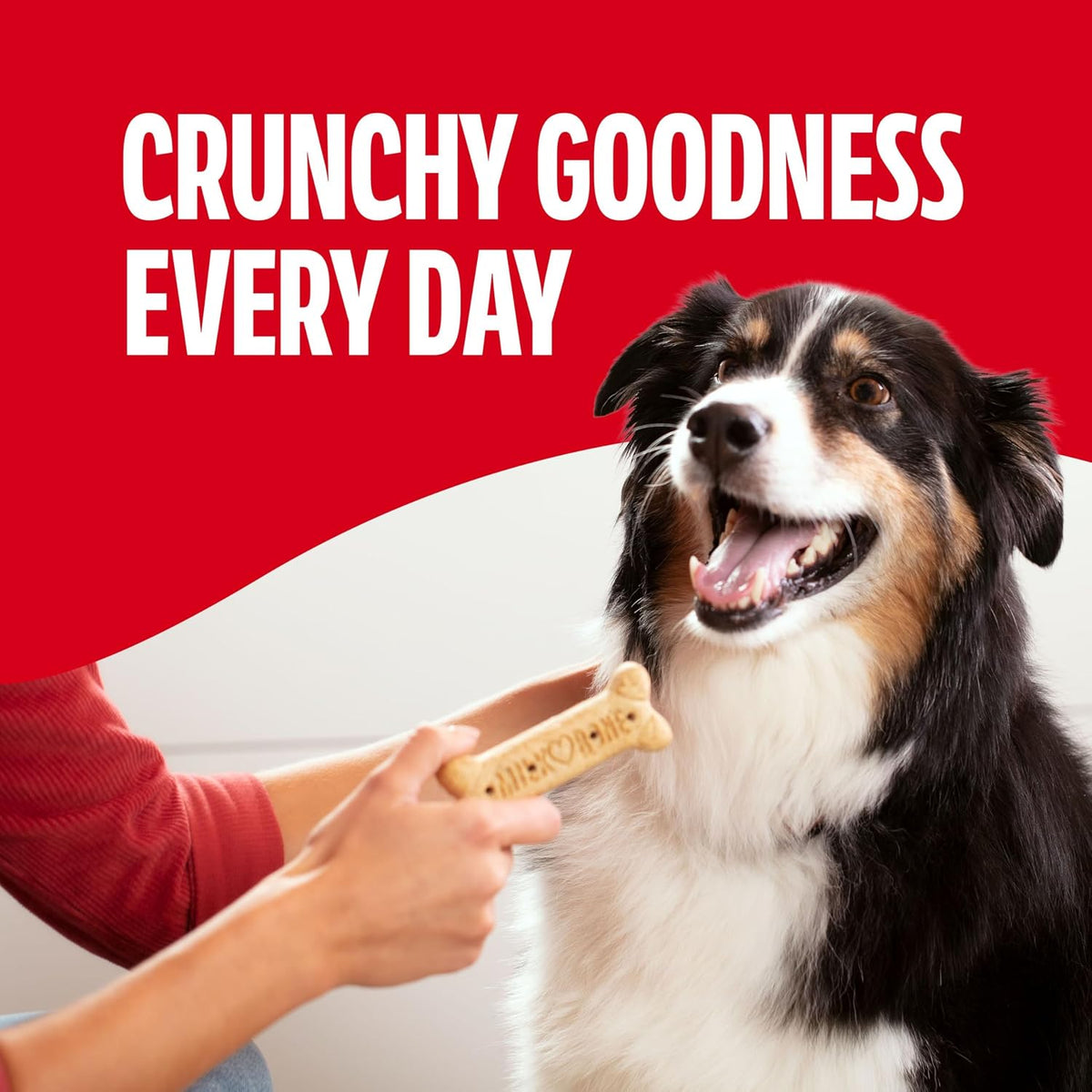 Milk-Bone Original Medium Dog Biscuits, 10 lb Box