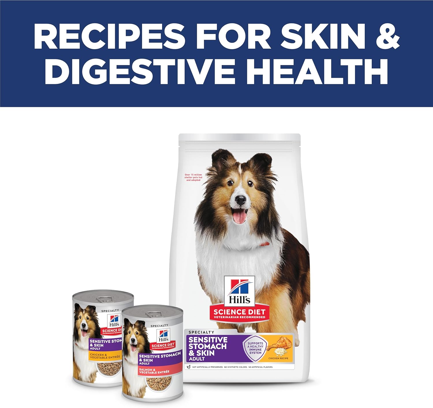 Hill's Science Diet Sensitive Stomach & Skin Dry Dog Food