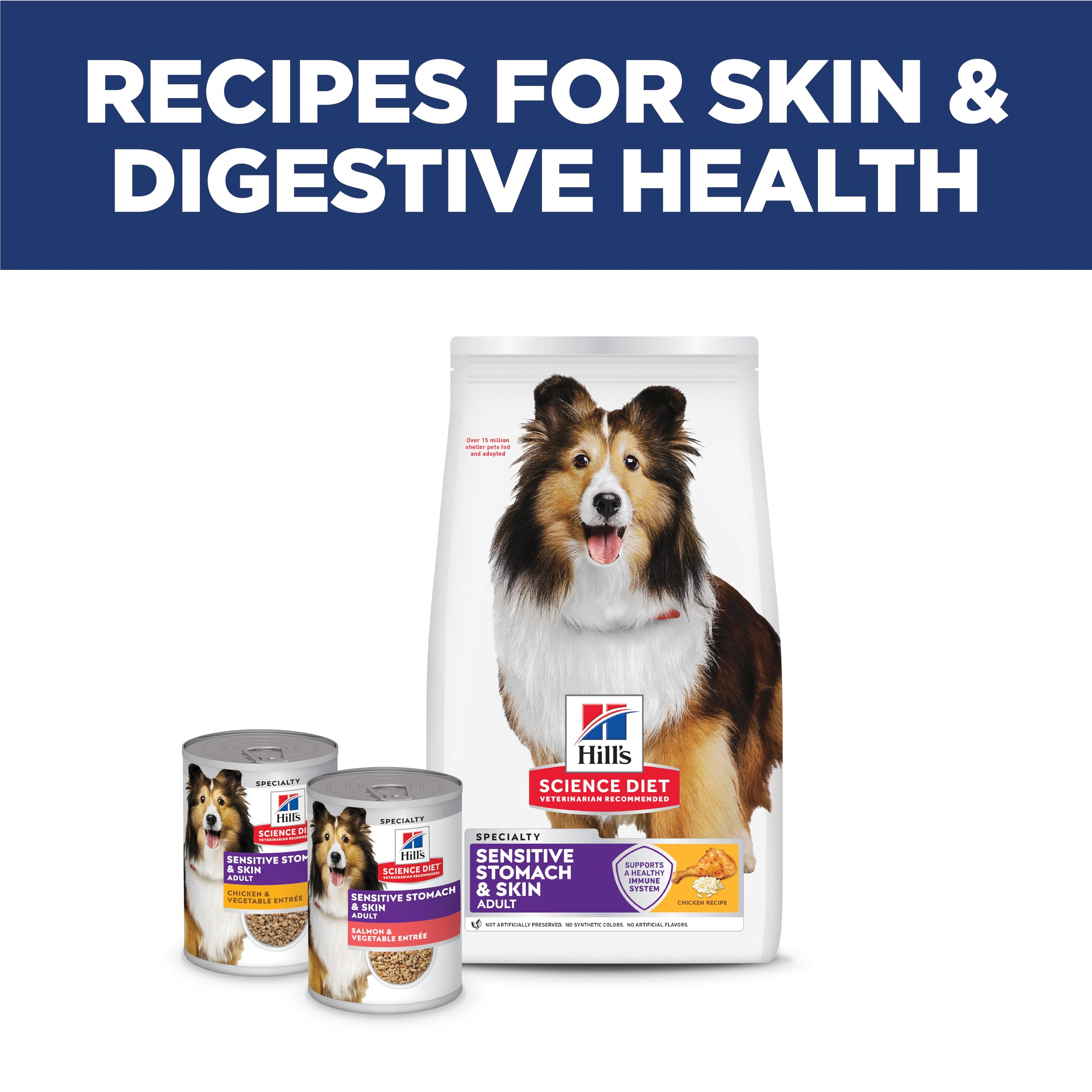 Hill's Science Diet Sensitive Stomach & Skin Dry Dog Food