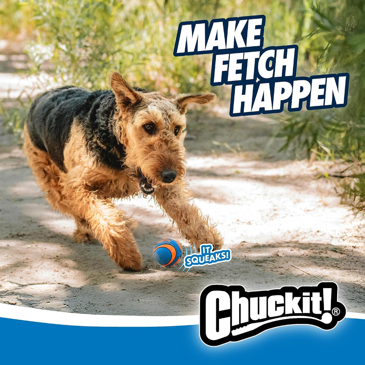 Chuckit! Ultra Ball Dog Toy, Durable Rubber, Medium 2.5-in, 2 Pack